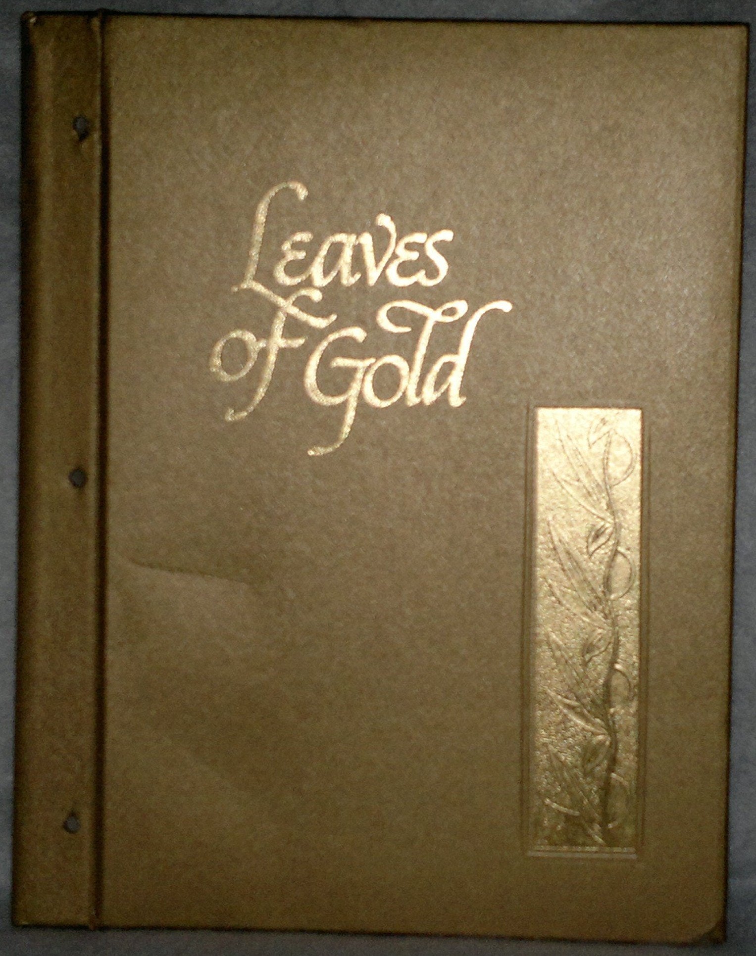 Leaves of Gold: An Anthology of Prayers, Memorable Phrases, Inspirational Verse, and Prose (Gold Deluxe Edition) used book depot