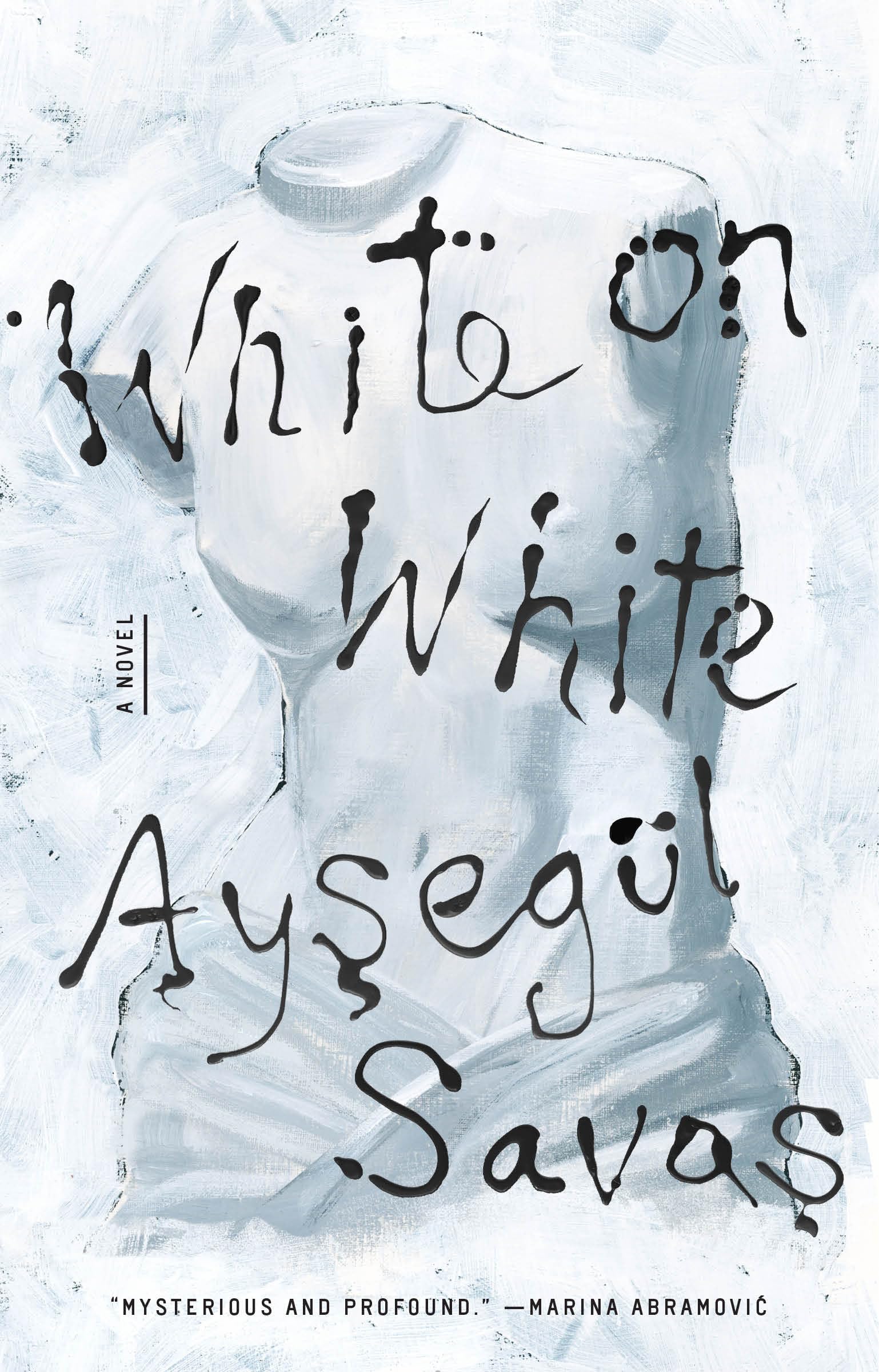 White on White: A Novel used book depot