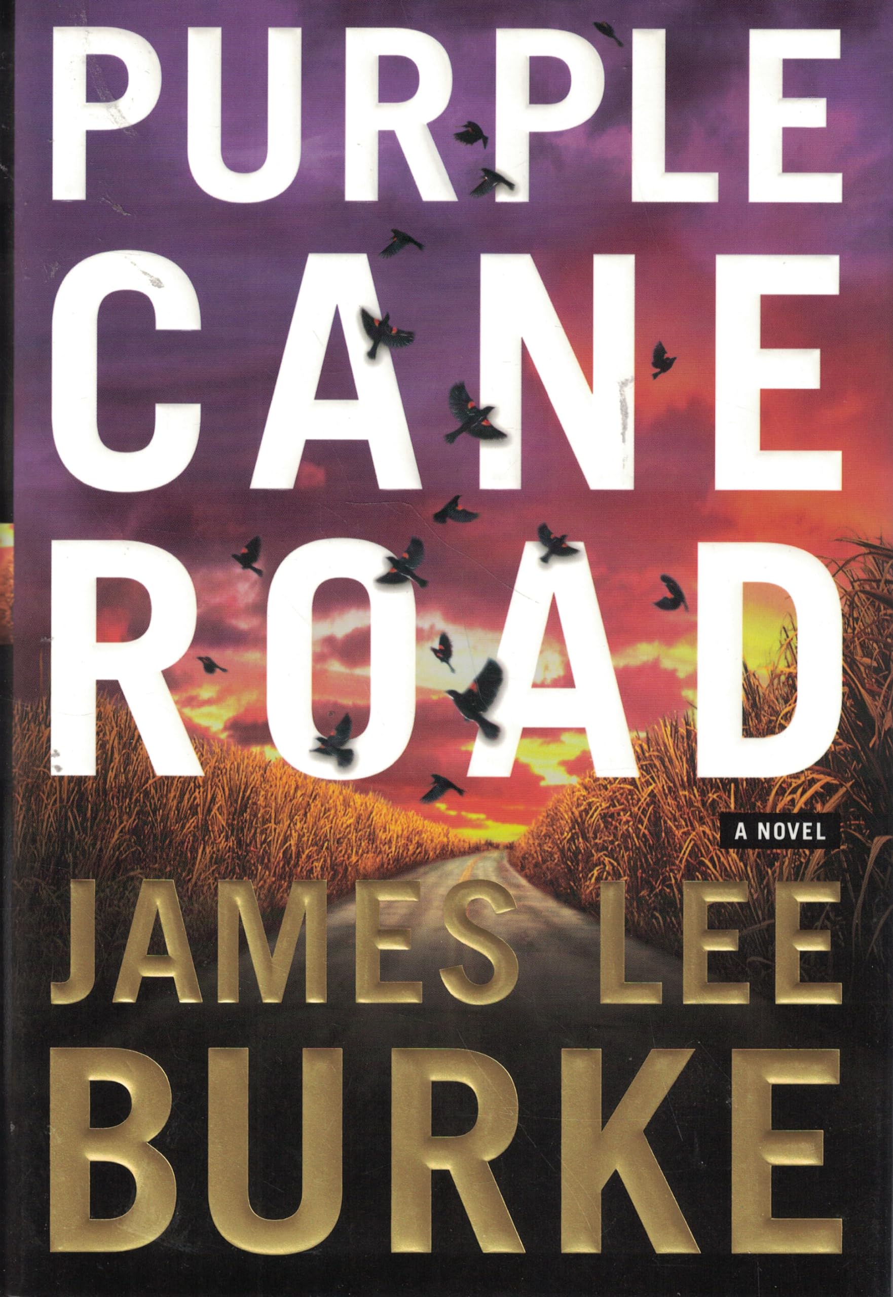 Purple Cane Road: A Novel (Dave Robicheaux Mysteries) used book depot