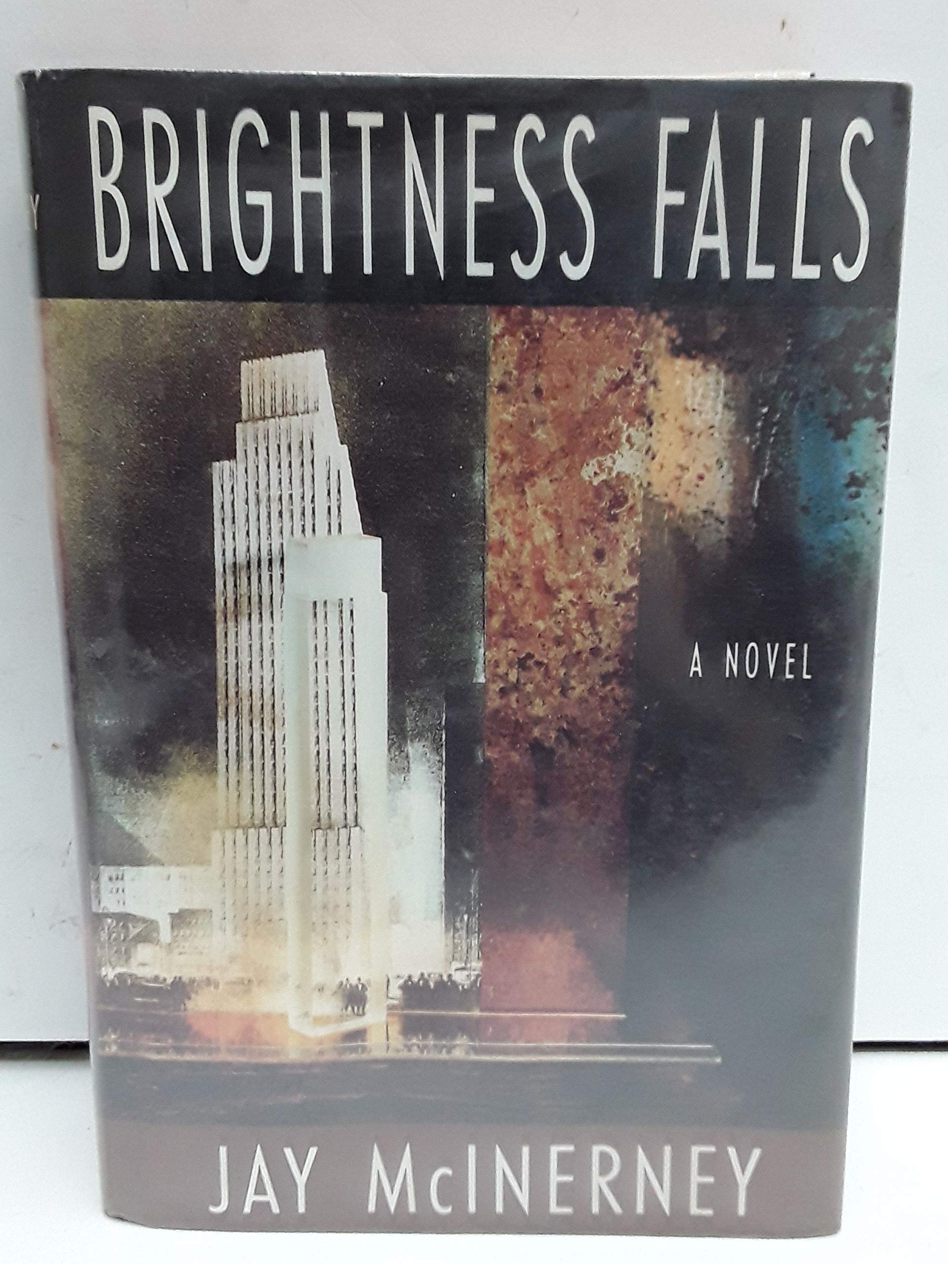 Brightness Falls used book depot