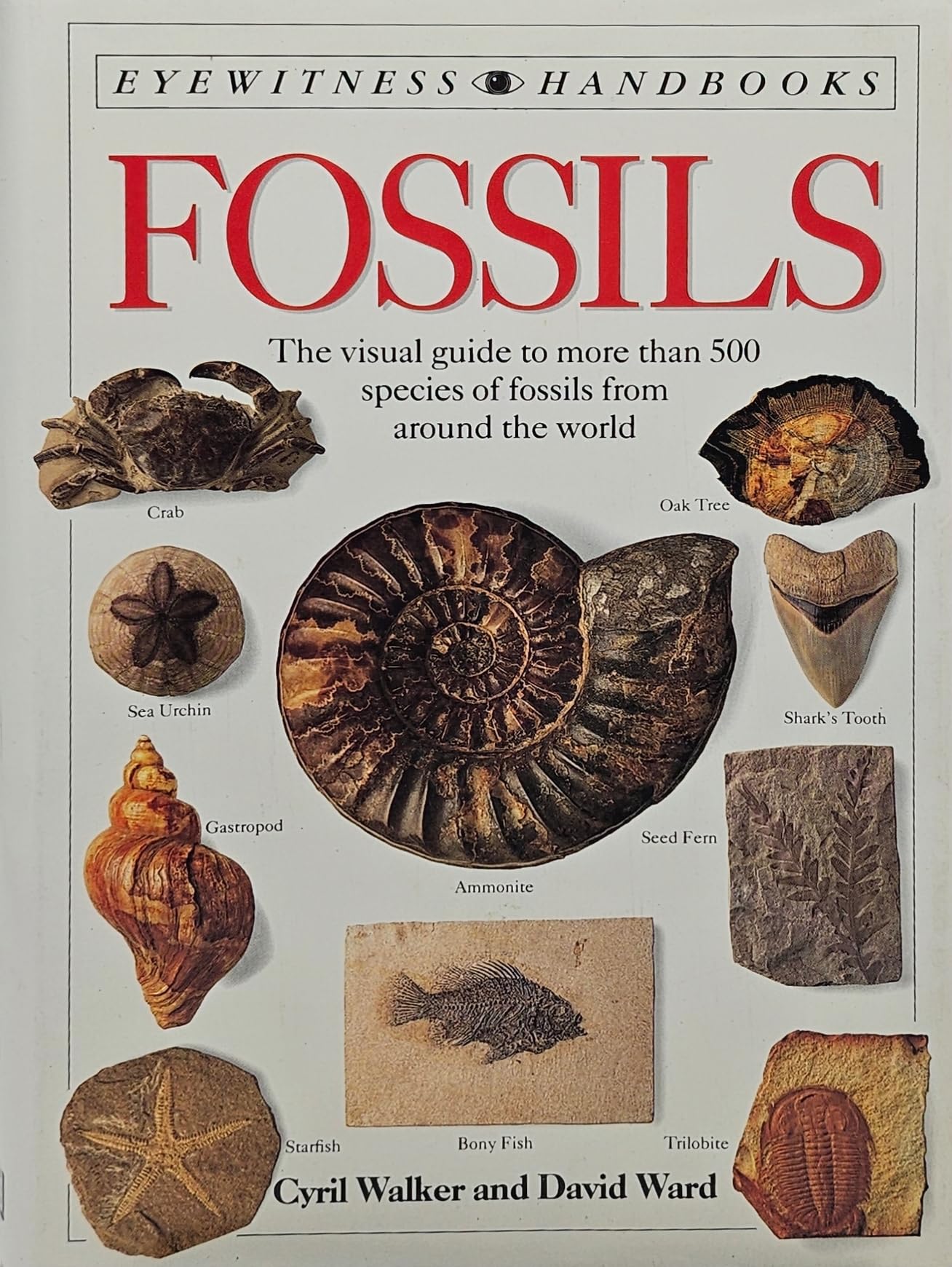 Fossils used book depot