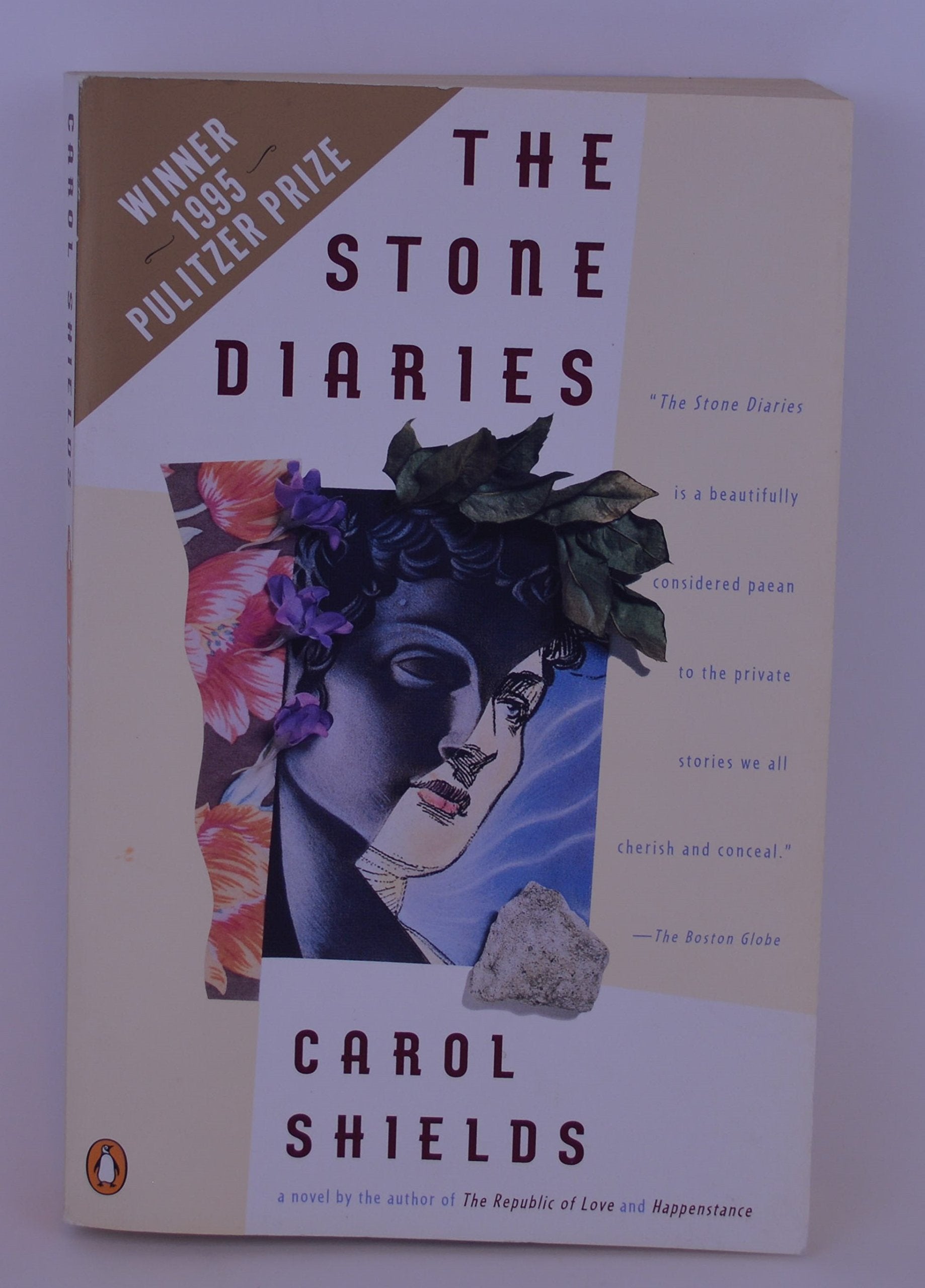 The Stone Diaries used book depot
