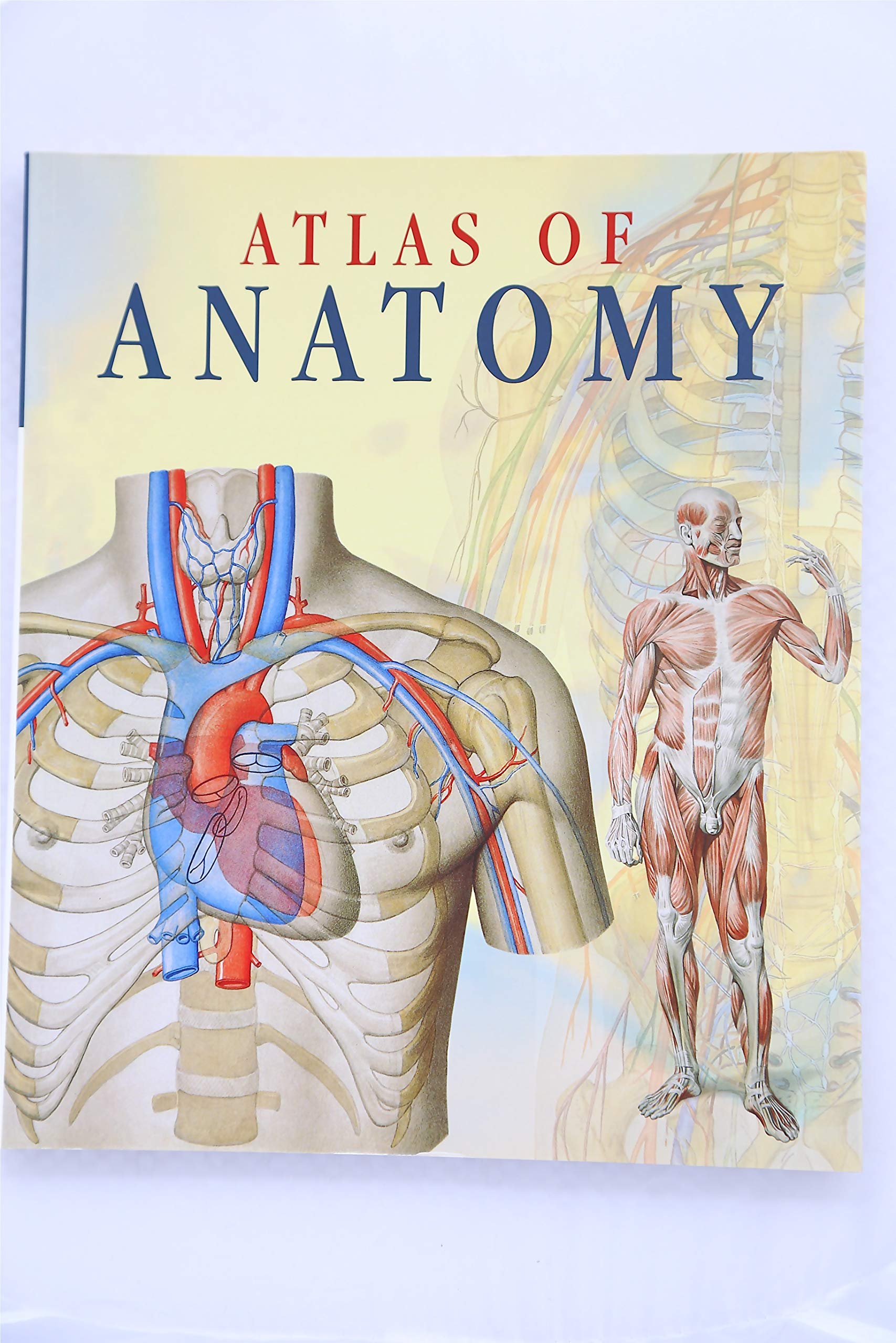 Atlas of Anatomy used book depot