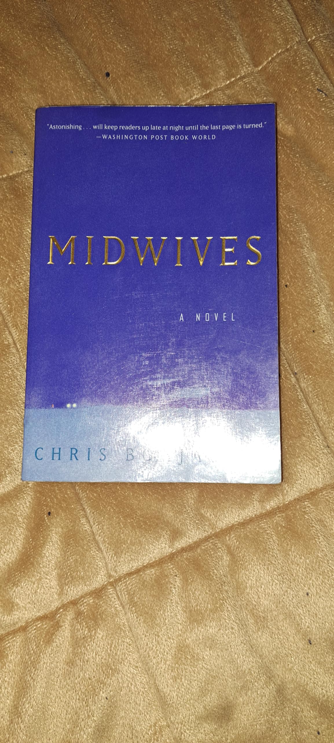 Midwives: A novel used book depot