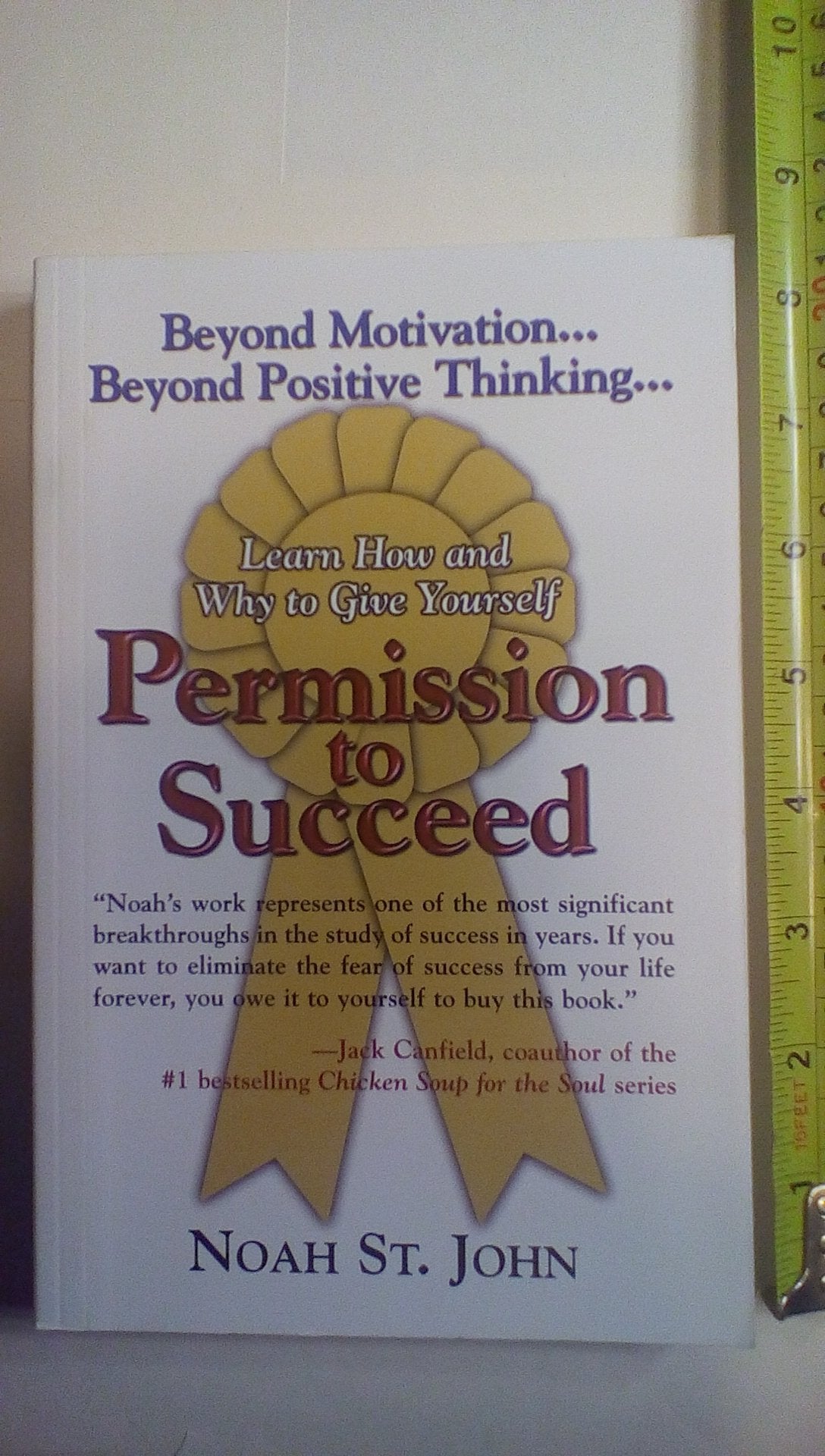 Permission To Succeed used book depot