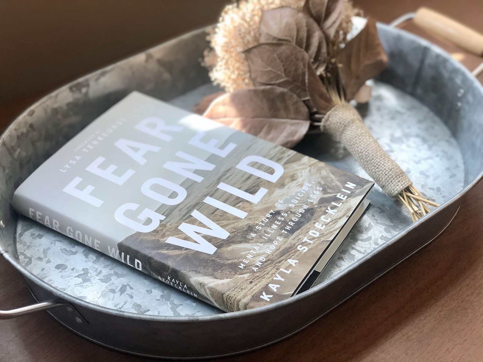Fear Gone Wild: A Story of Mental Illness, Suicide, and Hope Through Loss used book depot