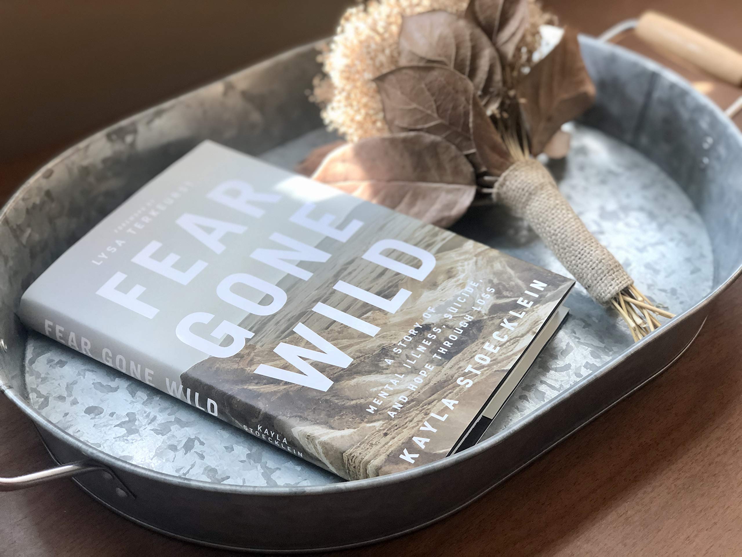 Fear Gone Wild: A Story of Mental Illness, Suicide, and Hope Through Loss used book depot