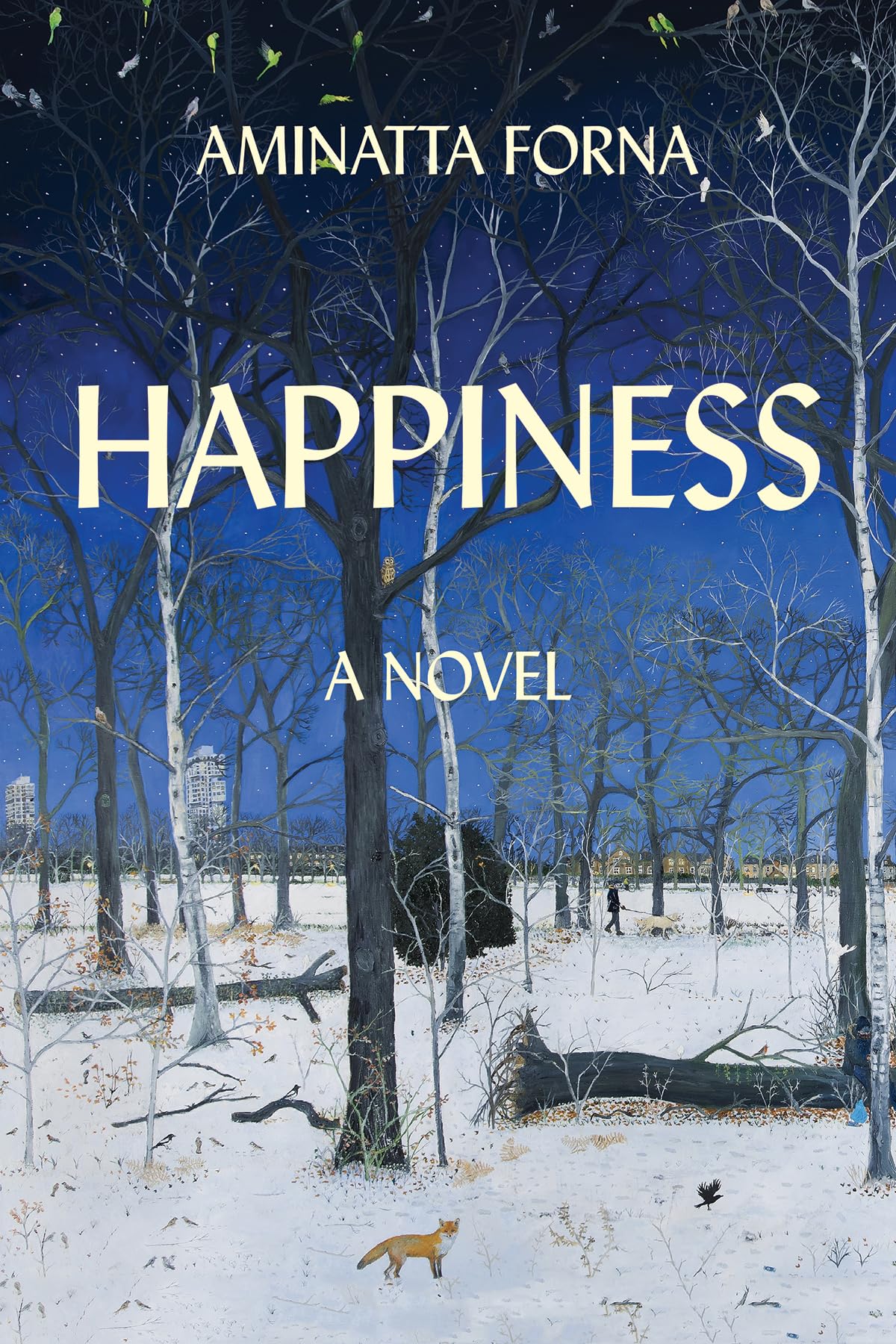 Happiness: A Novel used book depot