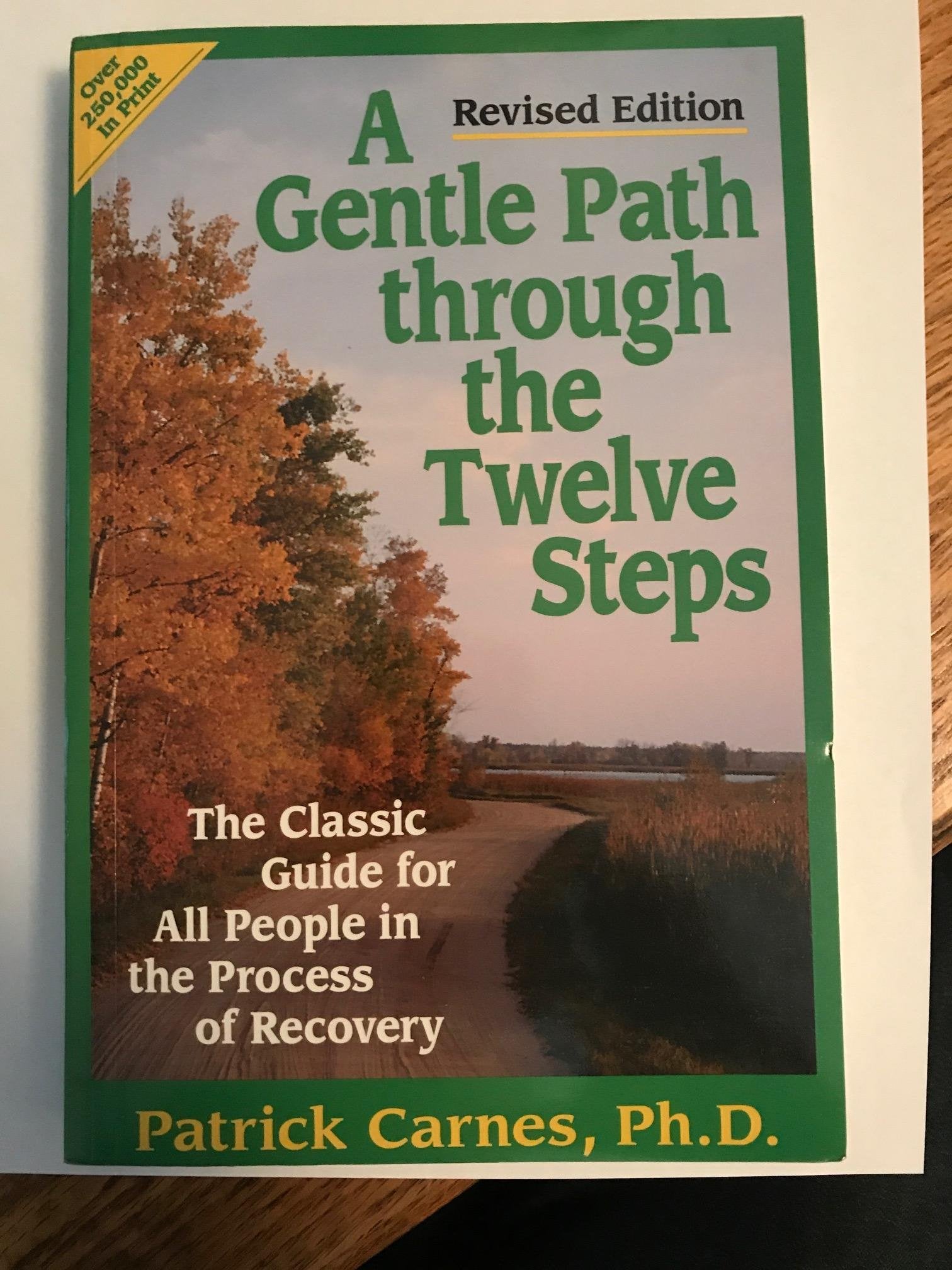 A Gentle Path Through the Twelve Steps: The Classic Guide for All People in the Process of Recovery used book depot