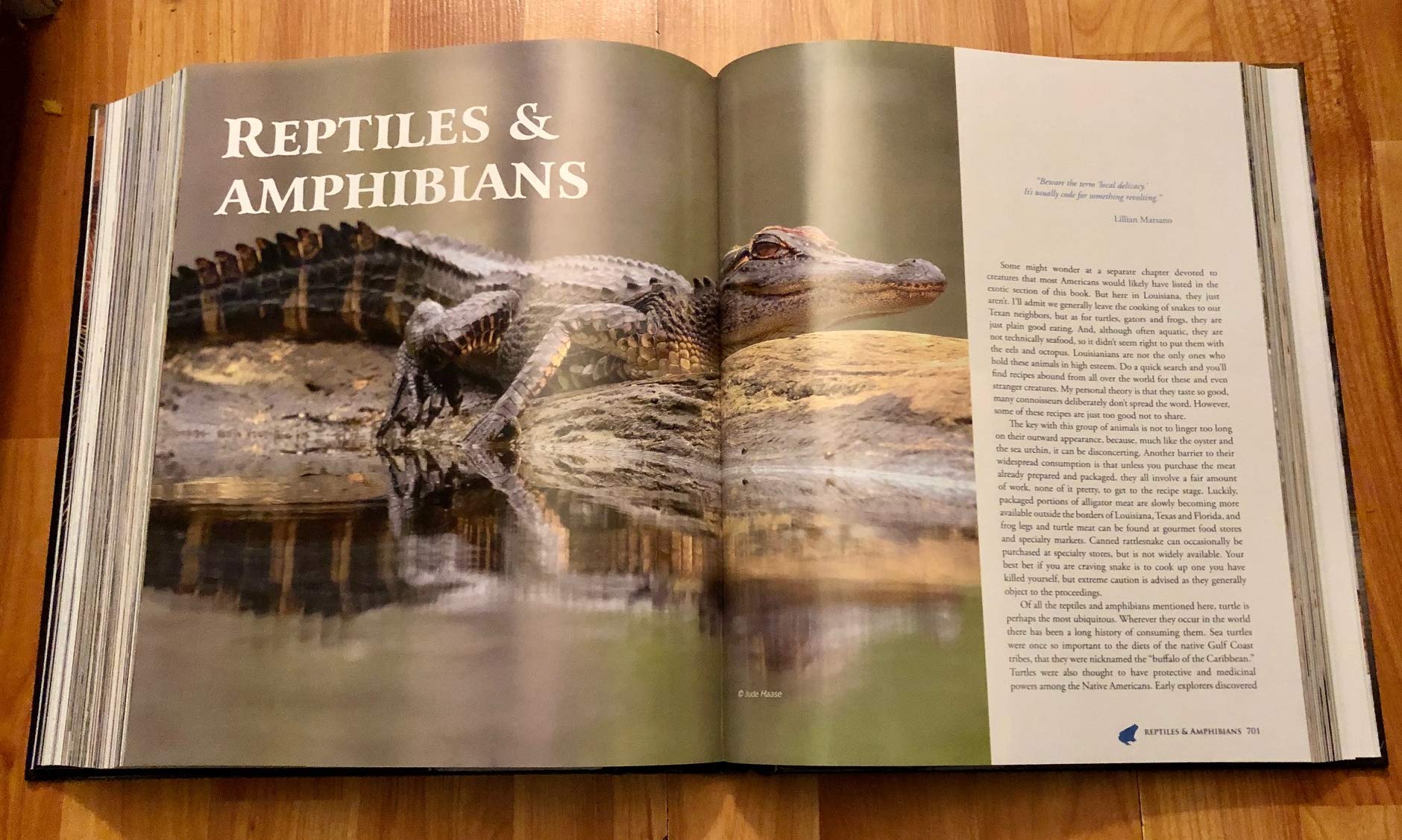 Hooks, Lies & Alibis: Louisiana's Authoritative Collection of Game Fish & Seafood Cookery by John D. Folse, Michaela York (2009) Hardcover used book depot