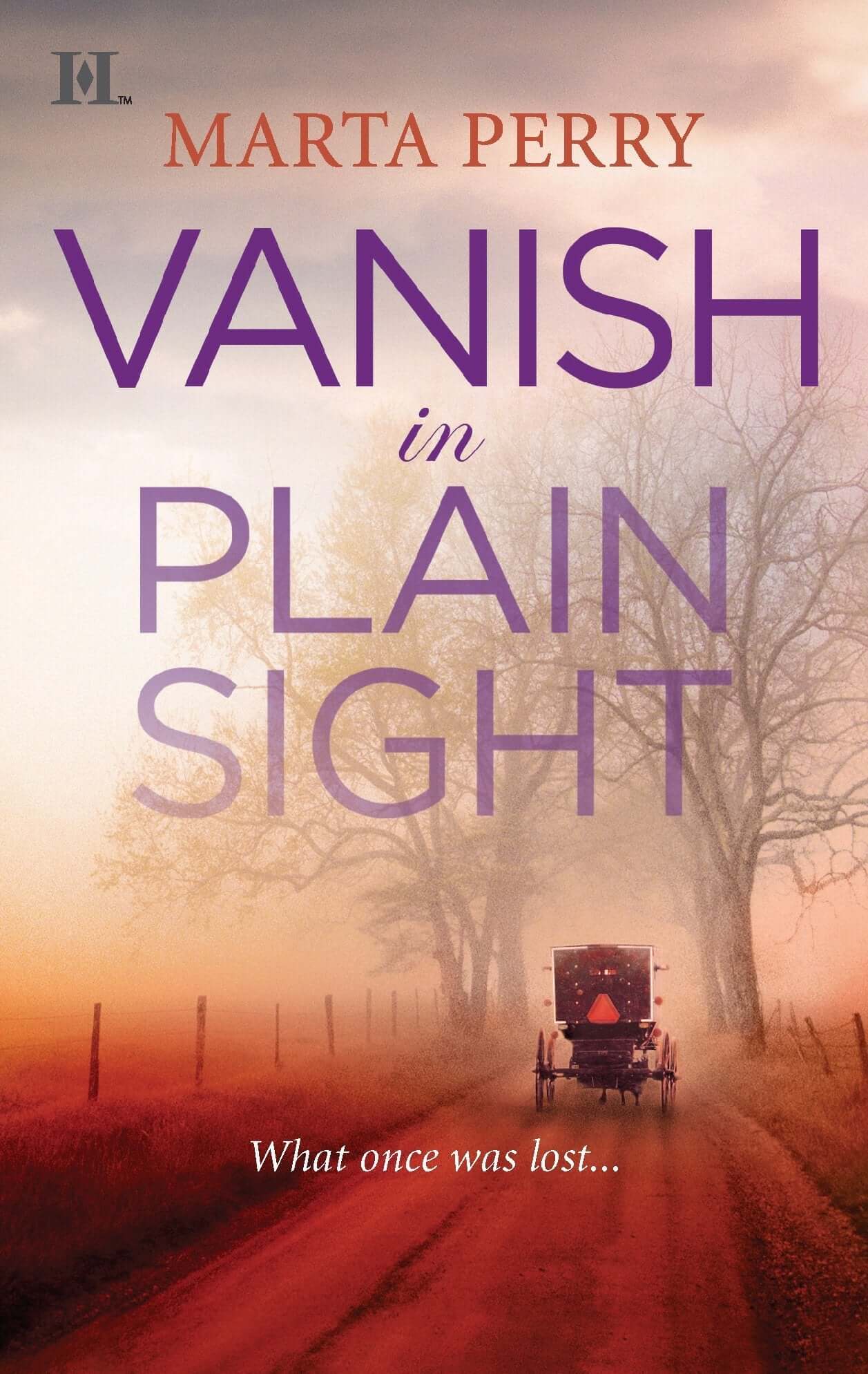 Vanish in Plain Sight (Brotherhood of the Raven, 2) used book depot