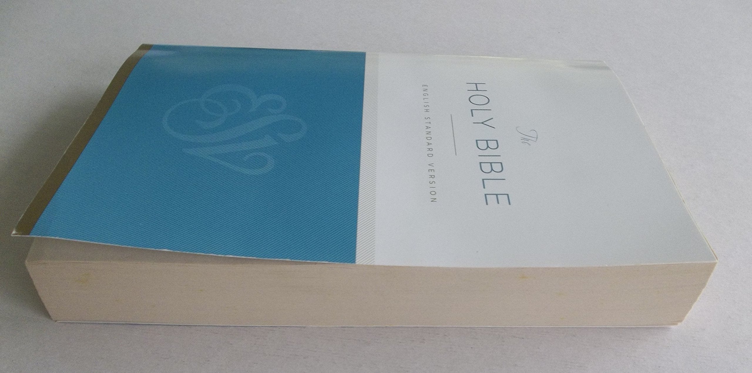 ESV Economy Bible used book depot