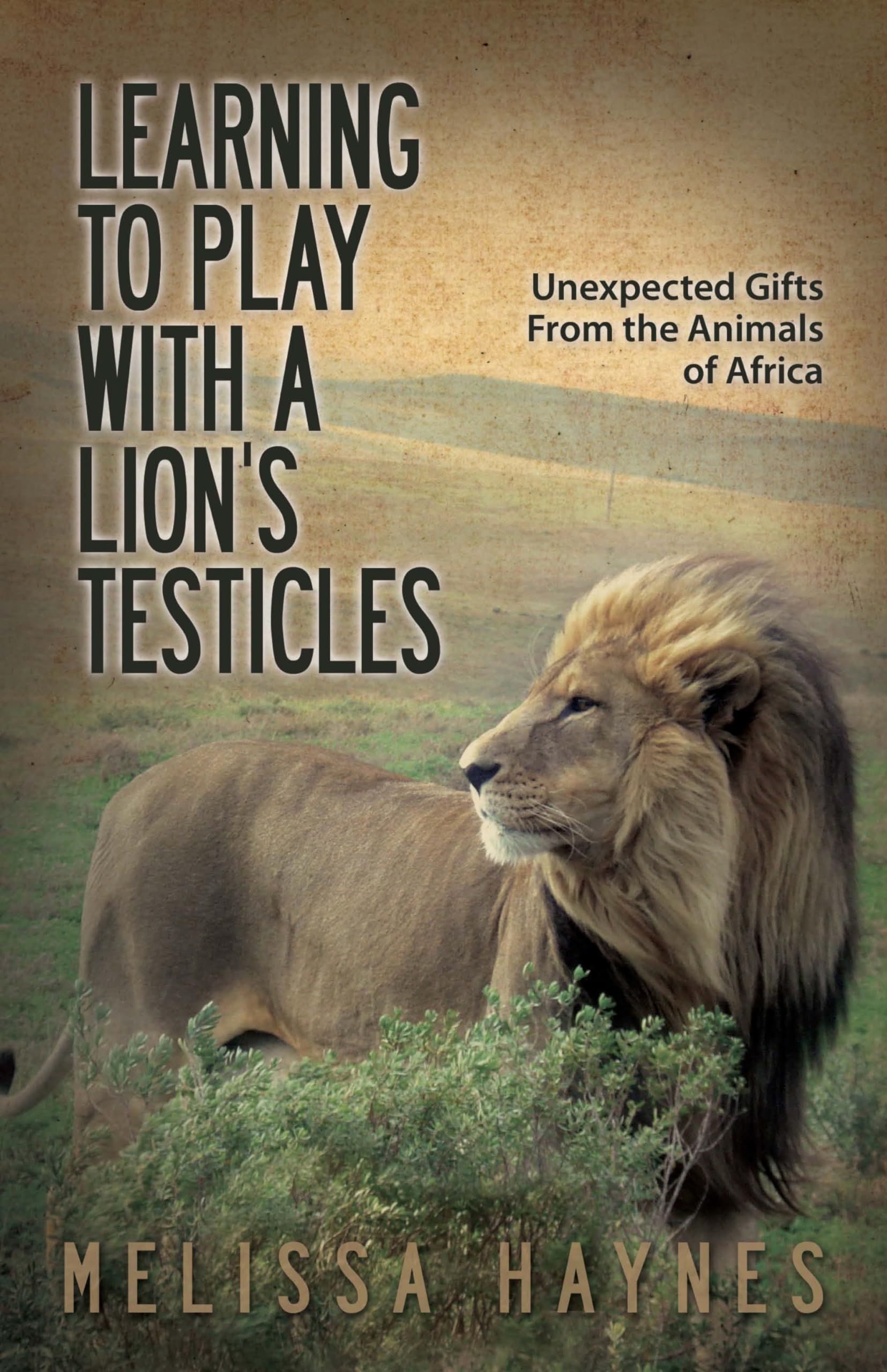 Learning to Play With a Lion?s Testicles: Unexpected Gifts From the Animals of Africa used book depot
