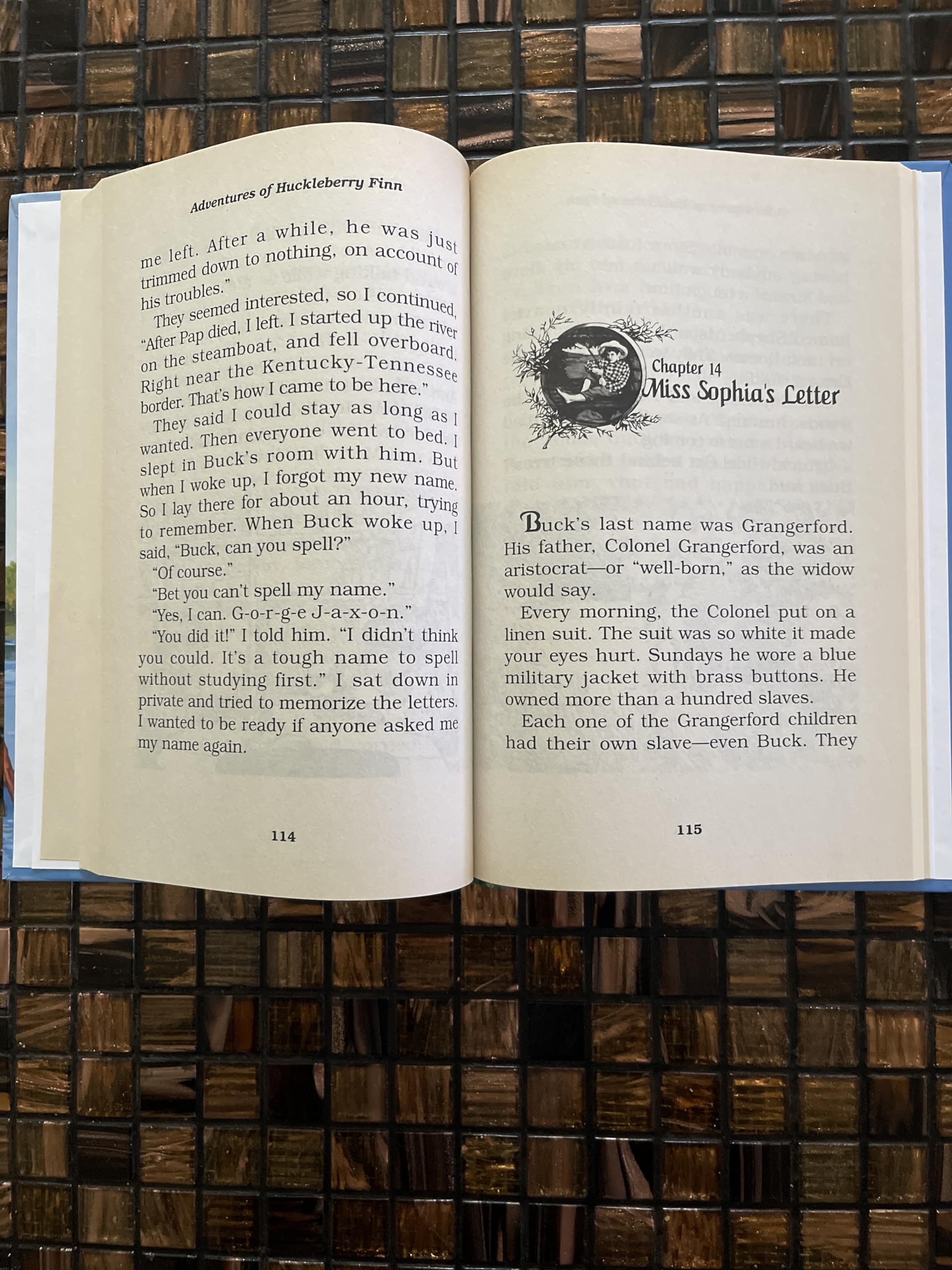 Adventures of Huckleberry Finn used book depot