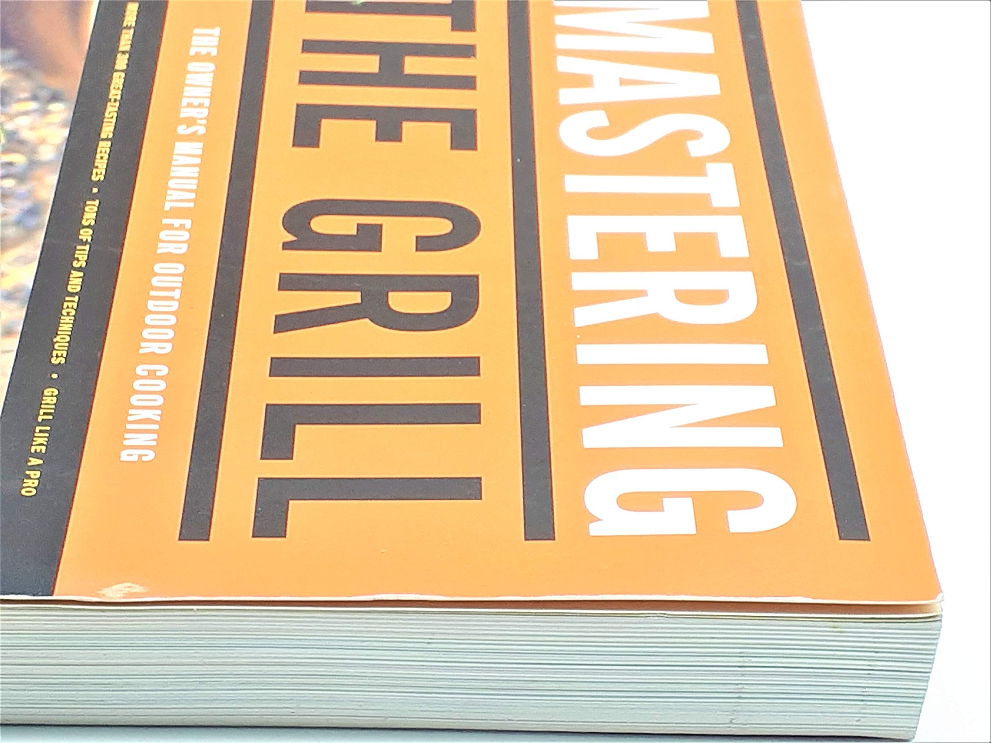 Mastering the Grill: The Owner's Manual for Outdoor Cooking used book depot