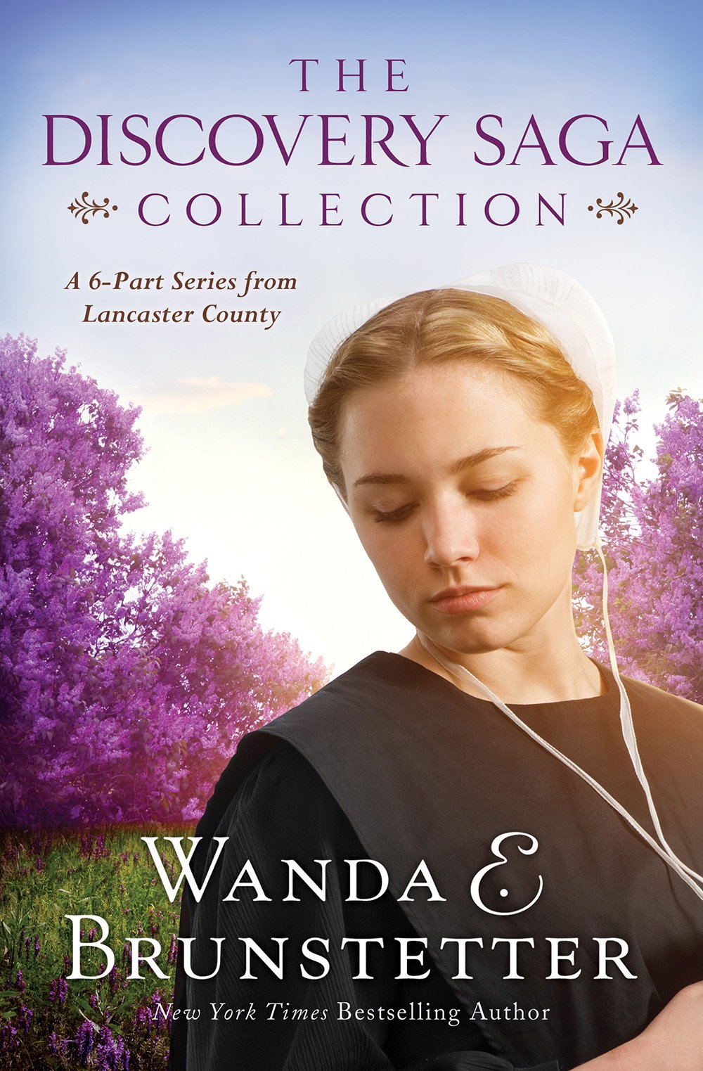 The Discovery Saga Collection: A 6-Part Series from Lancaster County (The Discovery - A Lancaster County Saga) used book depot
