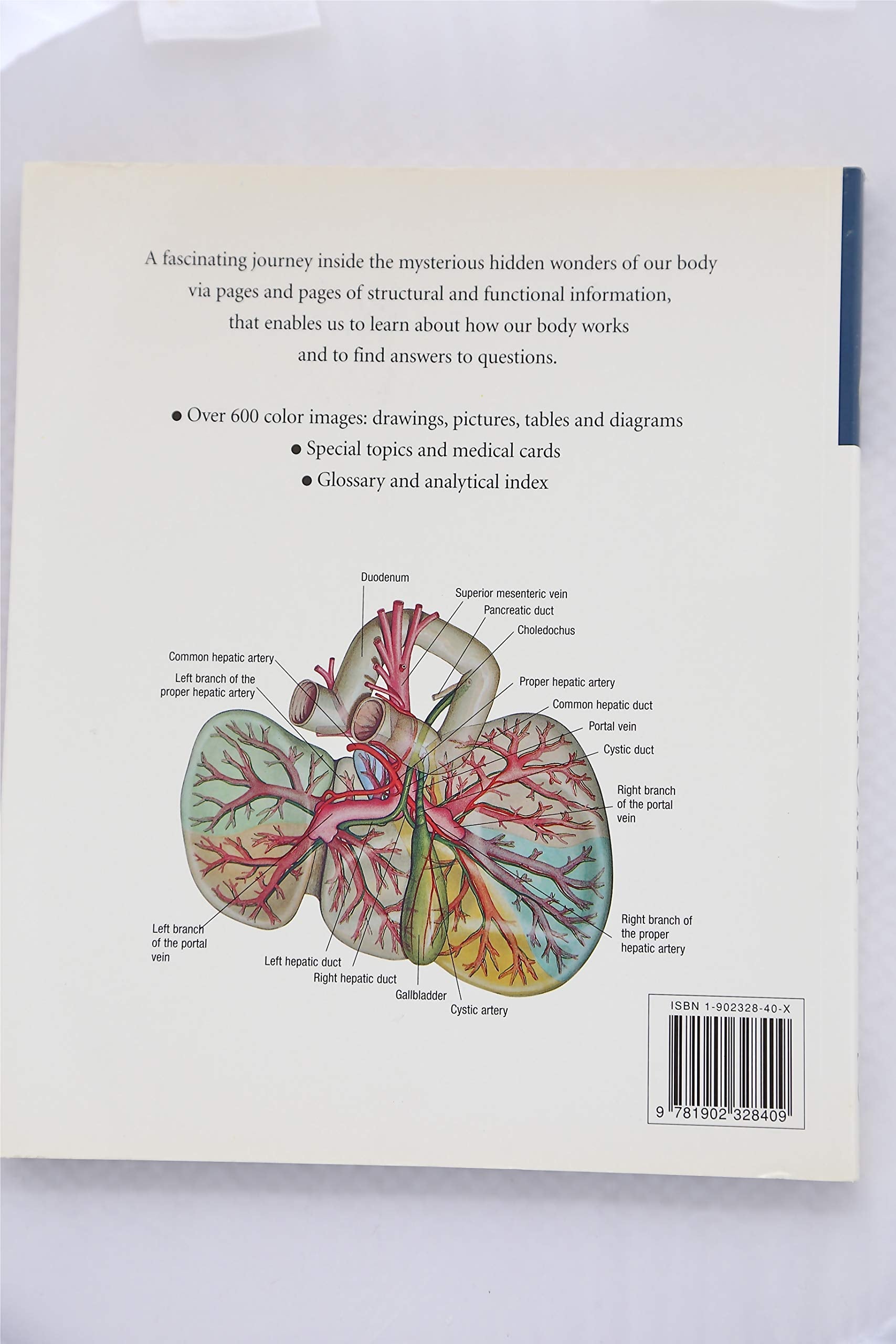 Atlas of Anatomy used book depot
