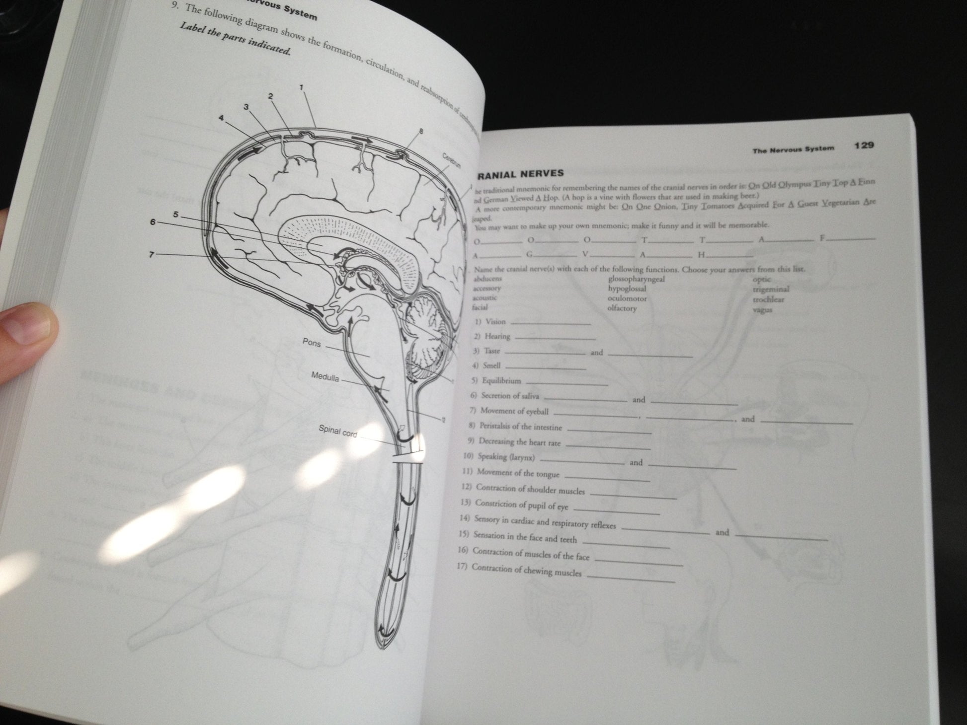 Essentials of Anatomy and Physiology used book depot