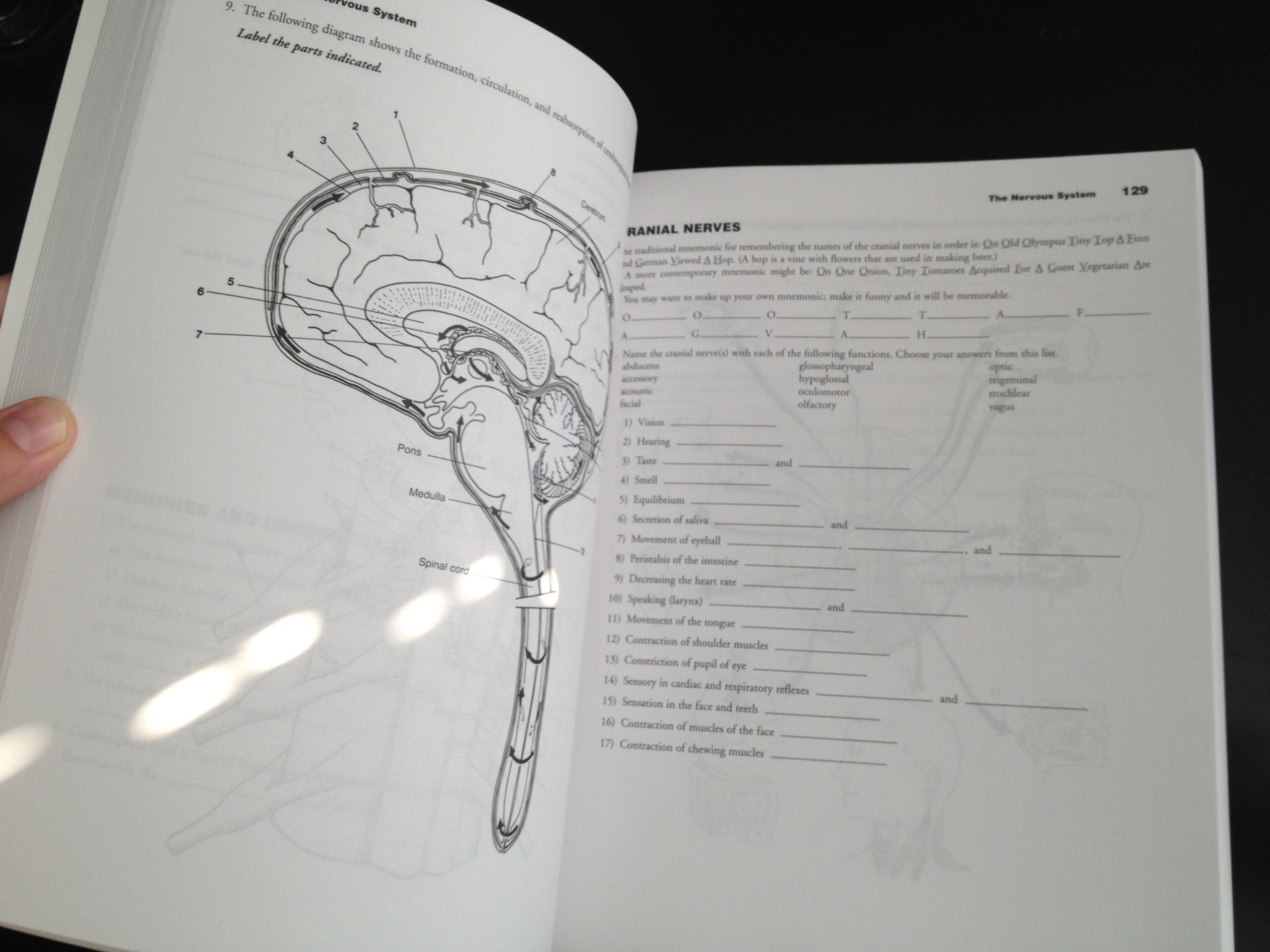 Essentials of Anatomy and Physiology used book depot