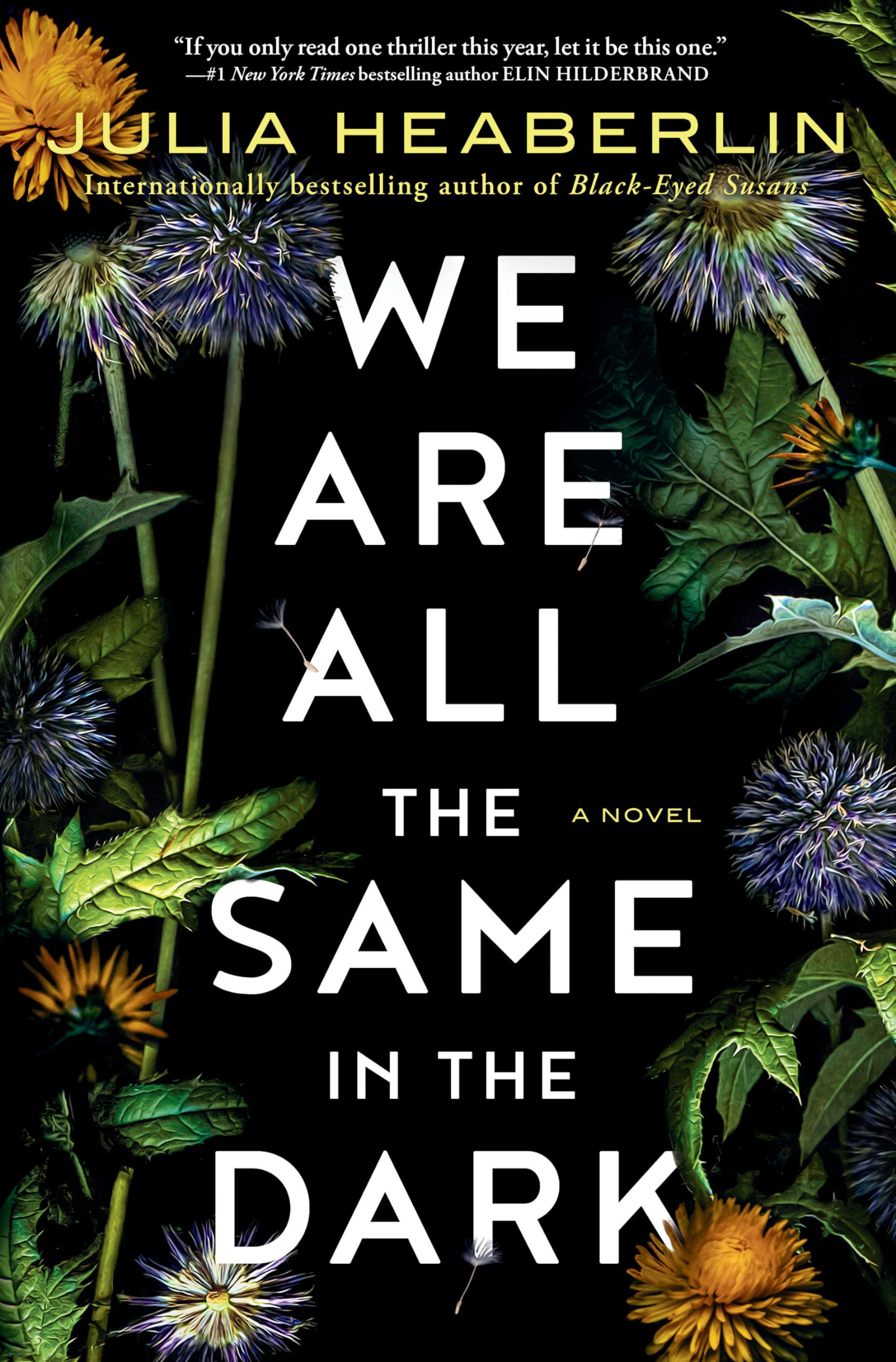 We Are All the Same in the Dark: A Novel used book depot