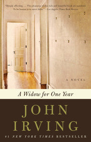 A Widow for One Year used book depot