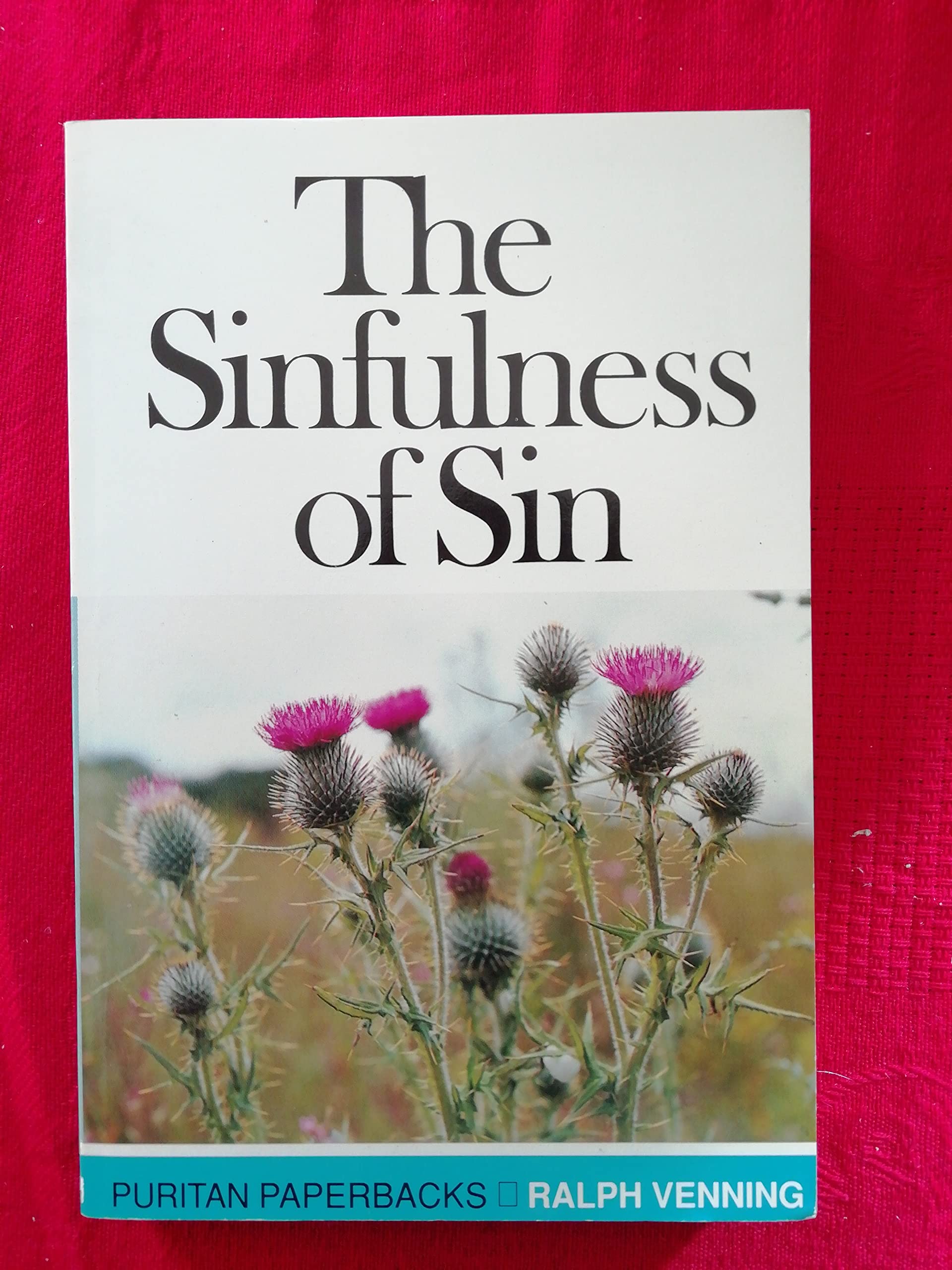 The Sinfulness of Sin used book depot