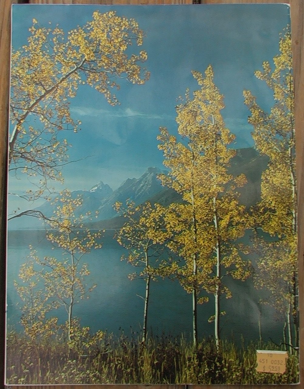 Grand Teton: The Story Behind the Scenery used book depot