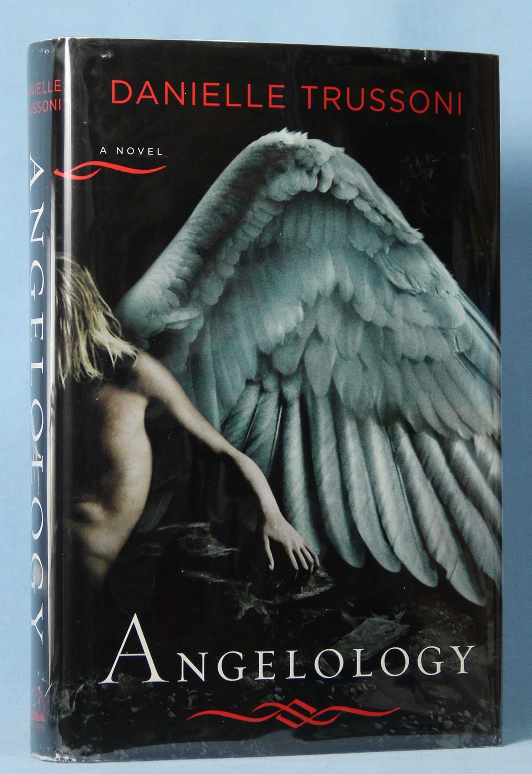 Angelology: A Novel (Angelology Series) used book depot