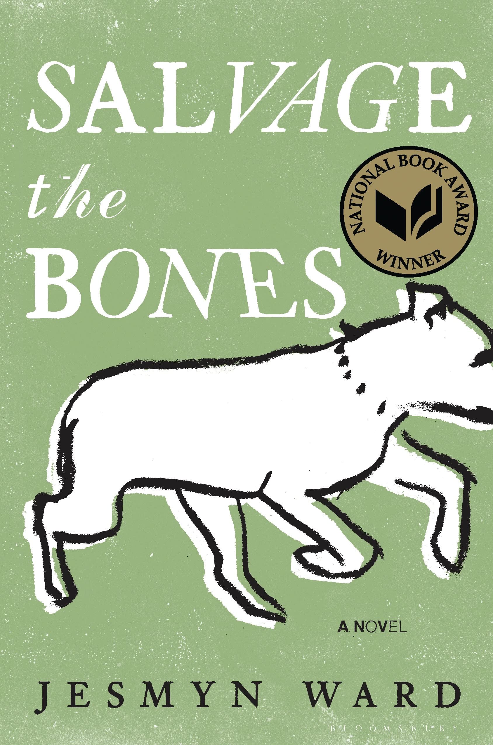 Salvage the Bones: A Novel used book depot