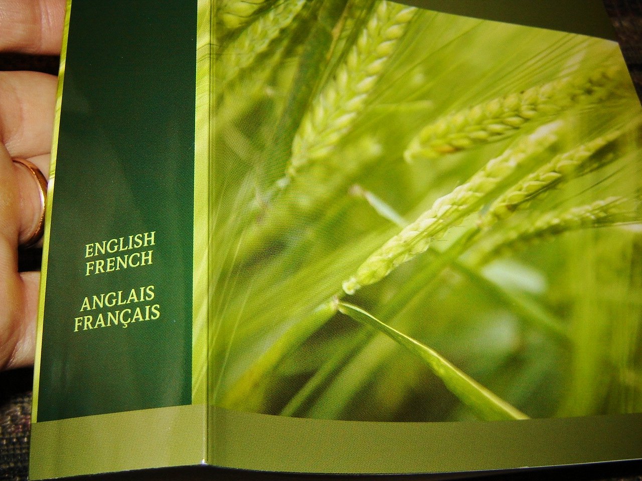 English - French Diglot Bible / Good News Translation - en Francais courant / Edition Bilingue / Bilingual Large Format Special Harvest Edition / SB1112 used book depot