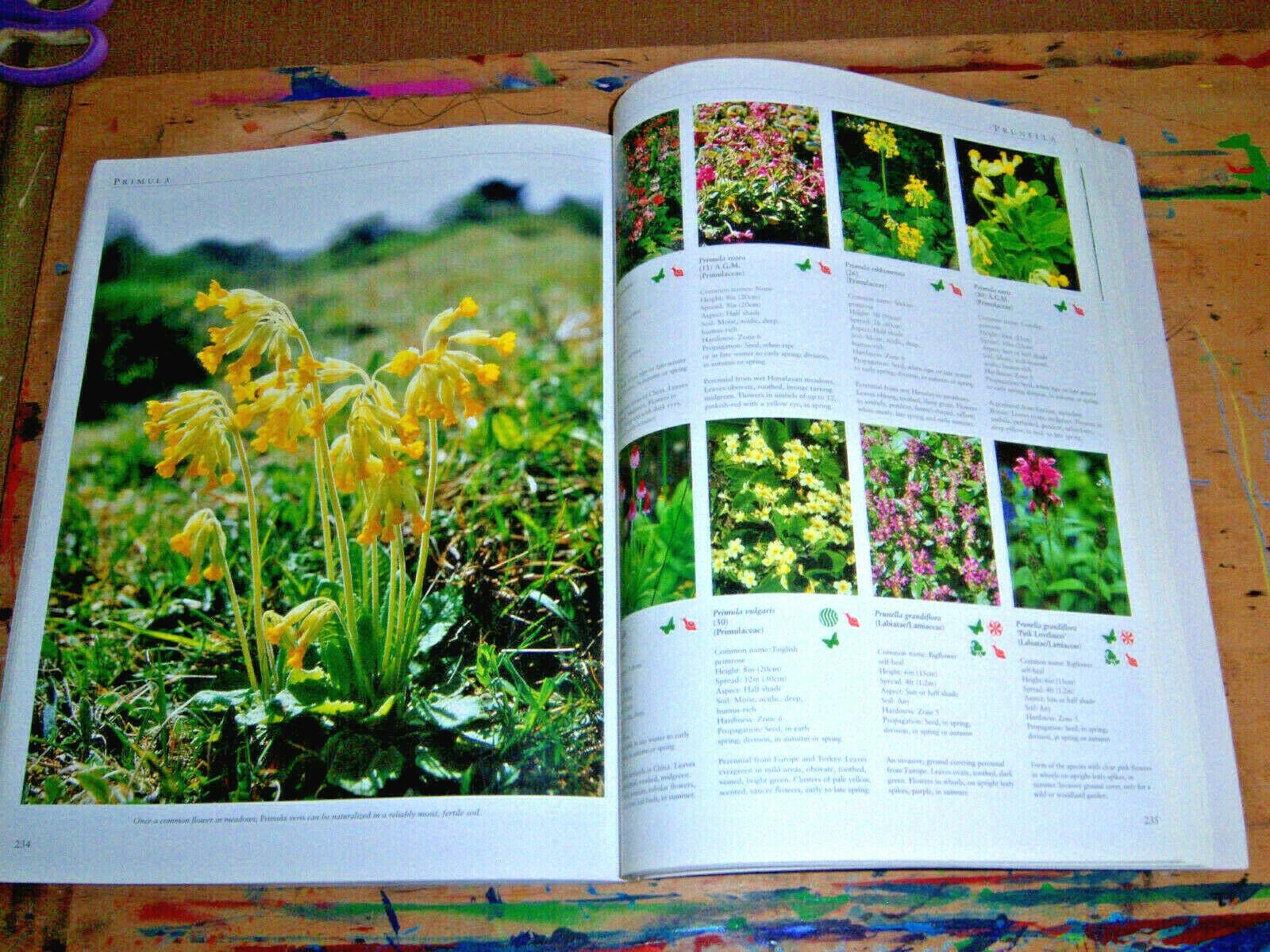 The Illustrated Encyclopedia of Perennials used book depot