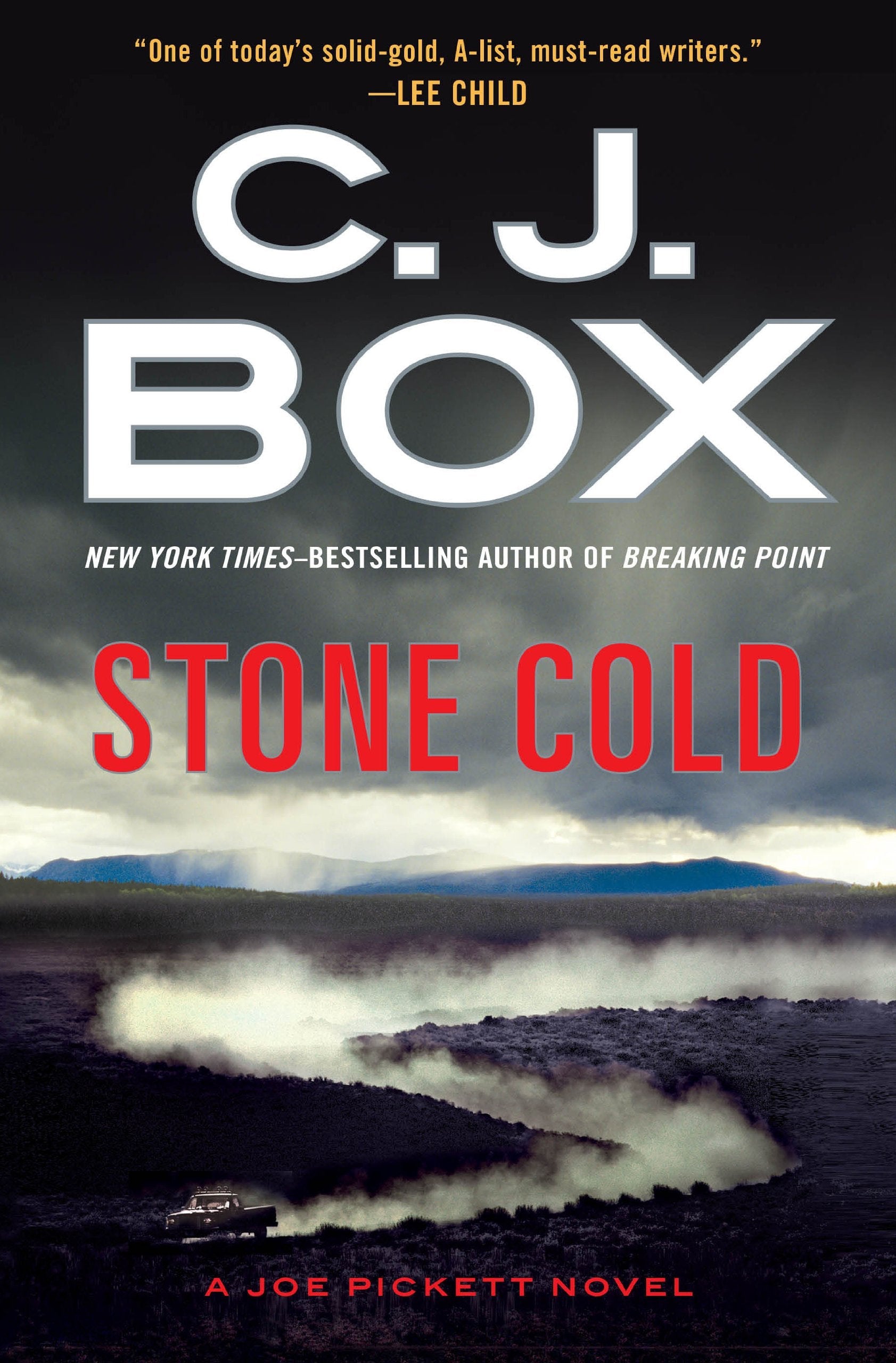 Stone Cold (Joe Pickett) used book depot