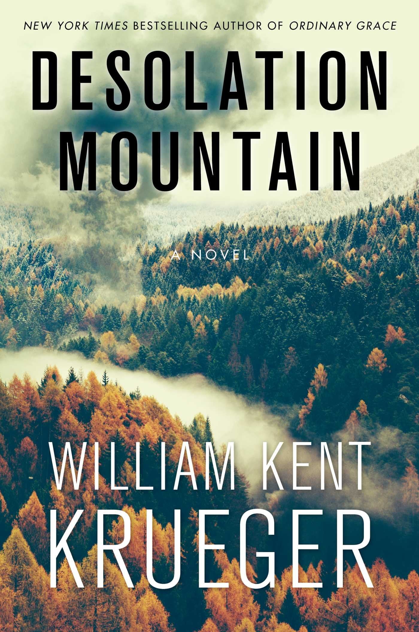 Desolation Mountain: A Novel (17) (Cork O'Connor Mystery Series) used book depot