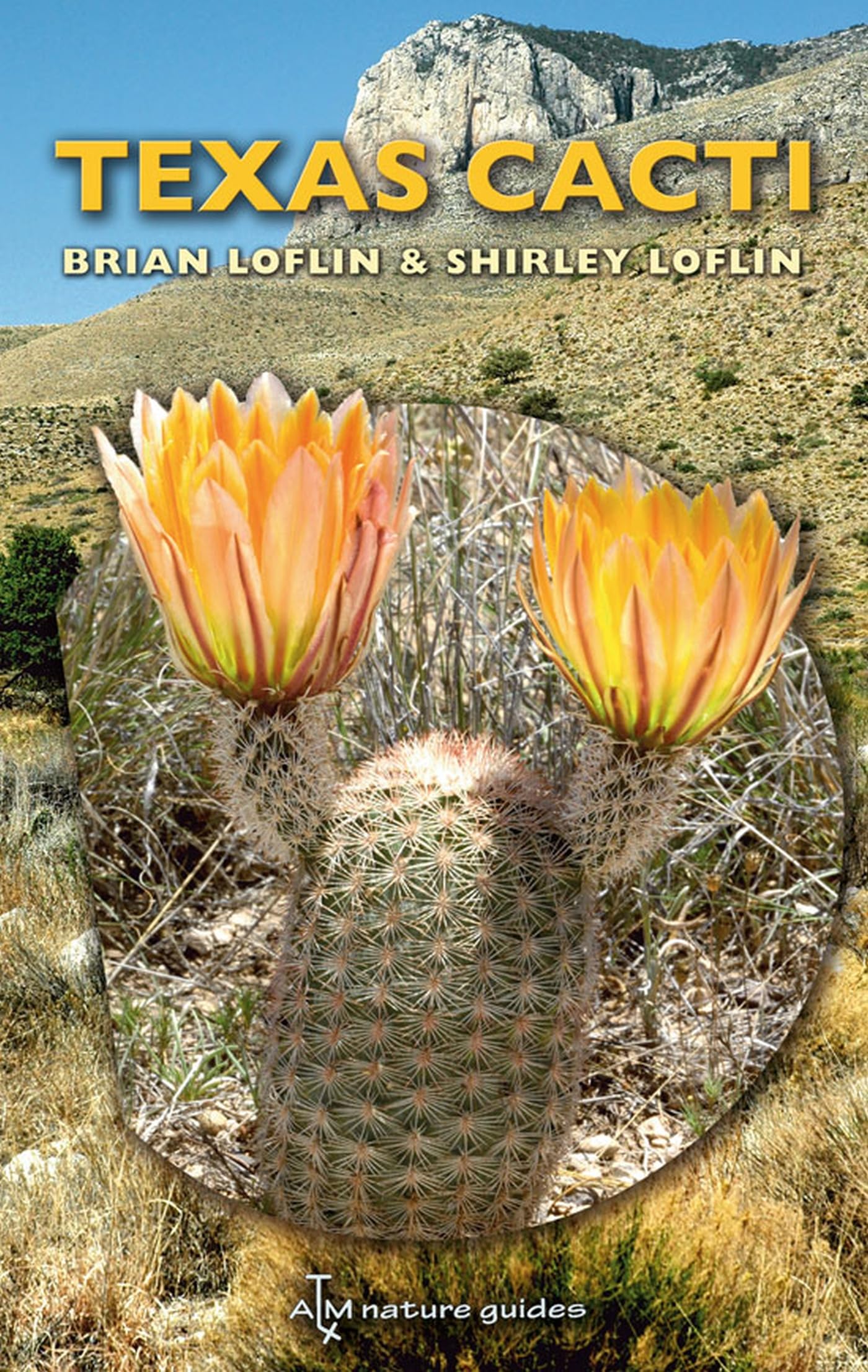 Texas Cacti: A Field Guide (Volume 42) (W. L. Moody Jr. Natural History Series) used book depot