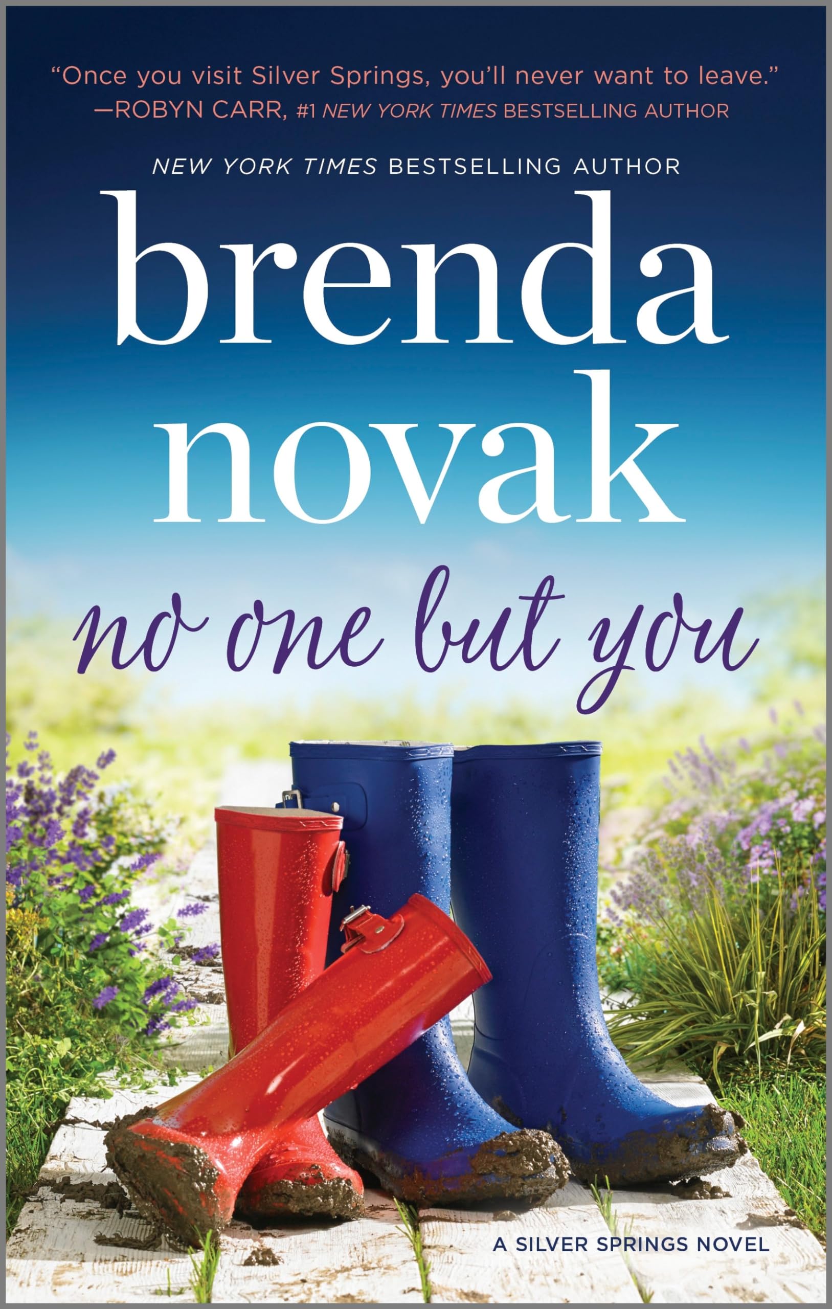 No One but You: A Novel (Silver Springs, 2) used book depot
