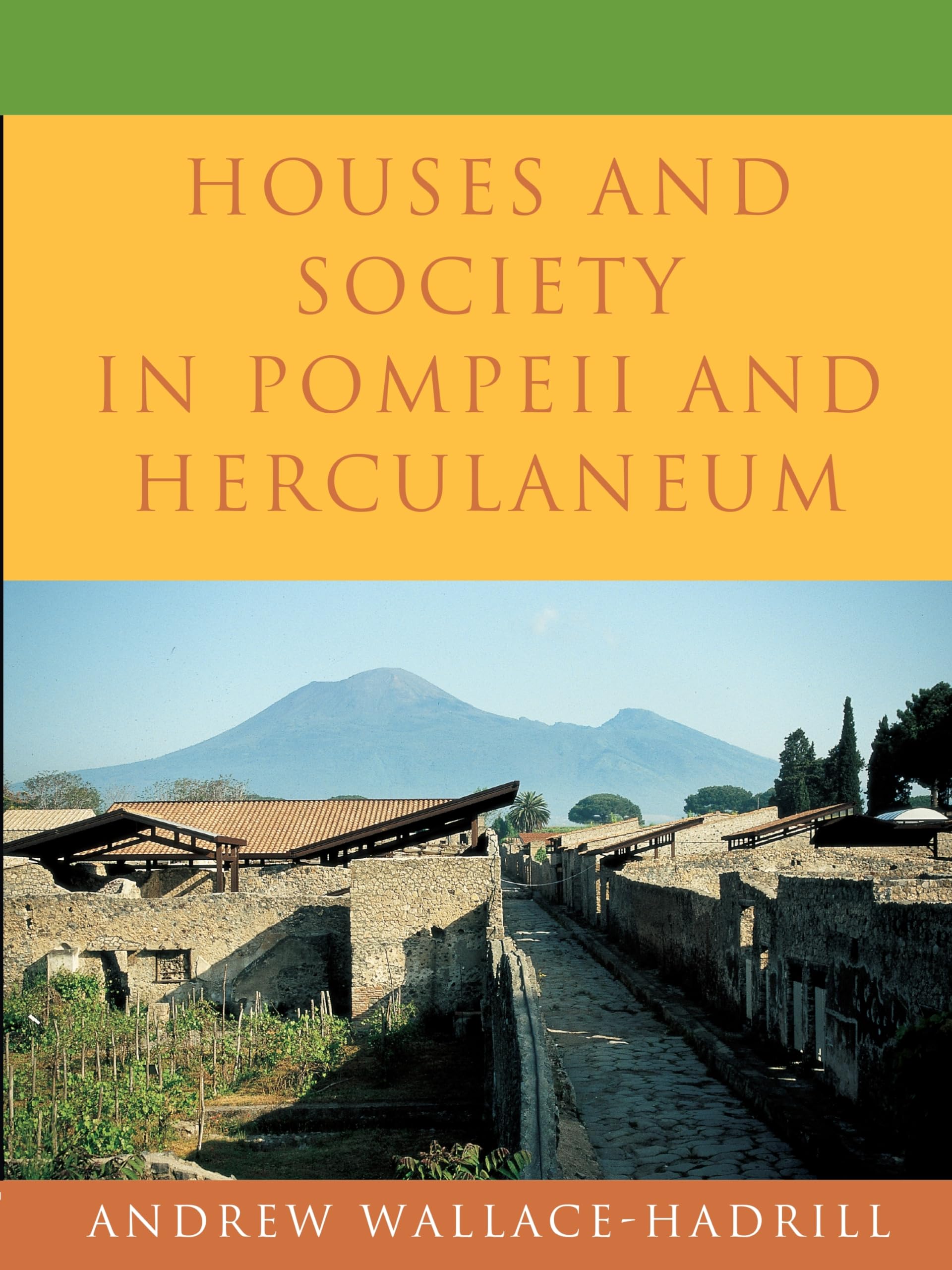 Houses and Society in Pompeii and Herculaneum used book depot