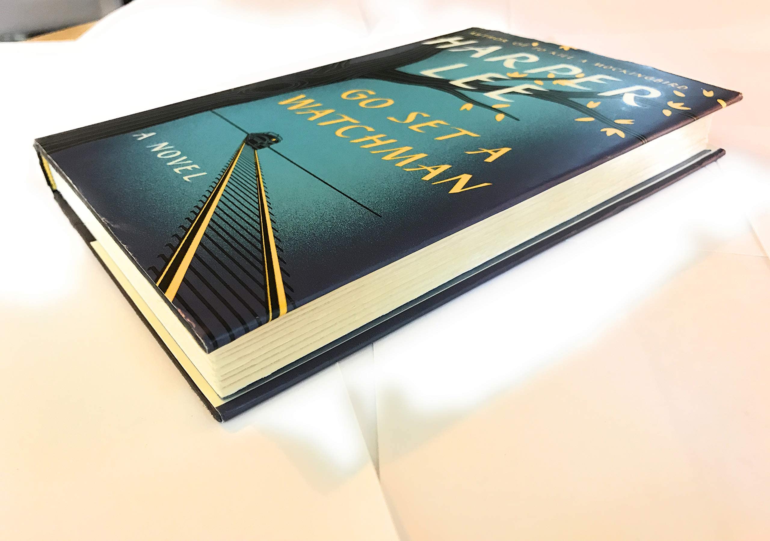Go Set a Watchman: A Novel used book depot