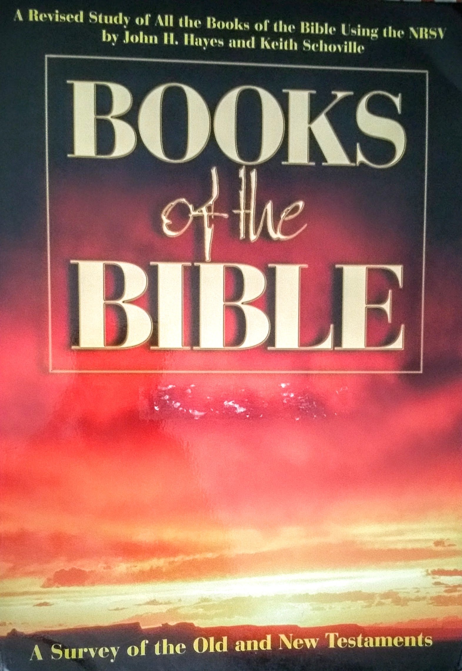 Books of the Bible: A Survey of the Old and New Testaments used book depot