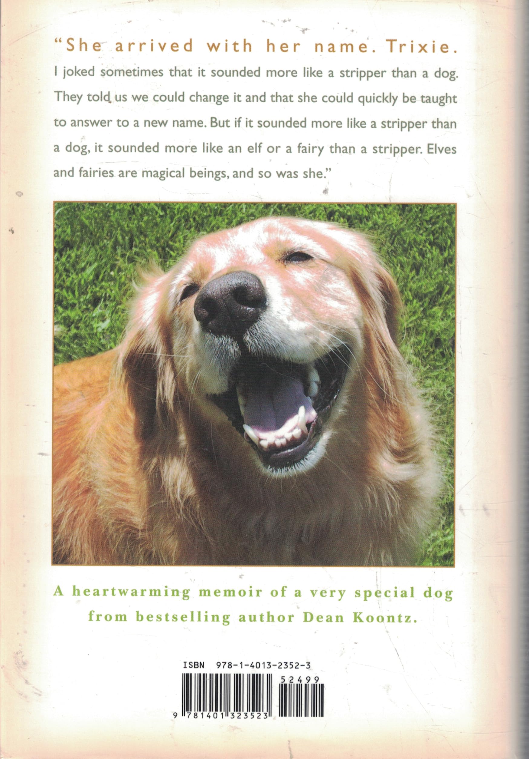 A Big Little Life: A Memoir of a Joyful Dog used book depot