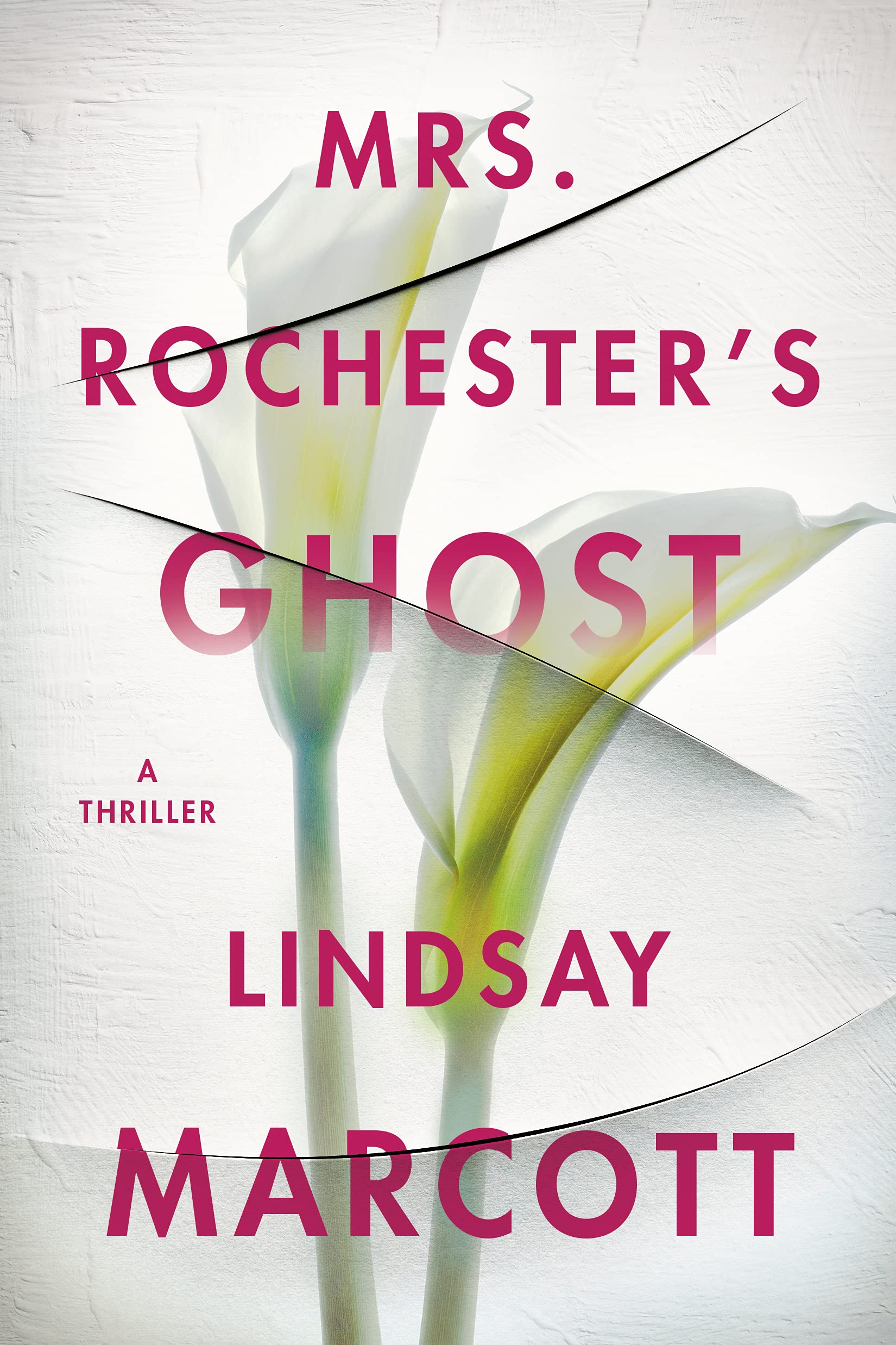Mrs. Rochester's Ghost: A Thriller used book depot