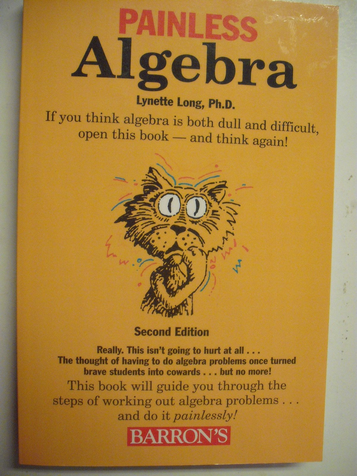 Painless Algebra (Barron's Painless) used book depot
