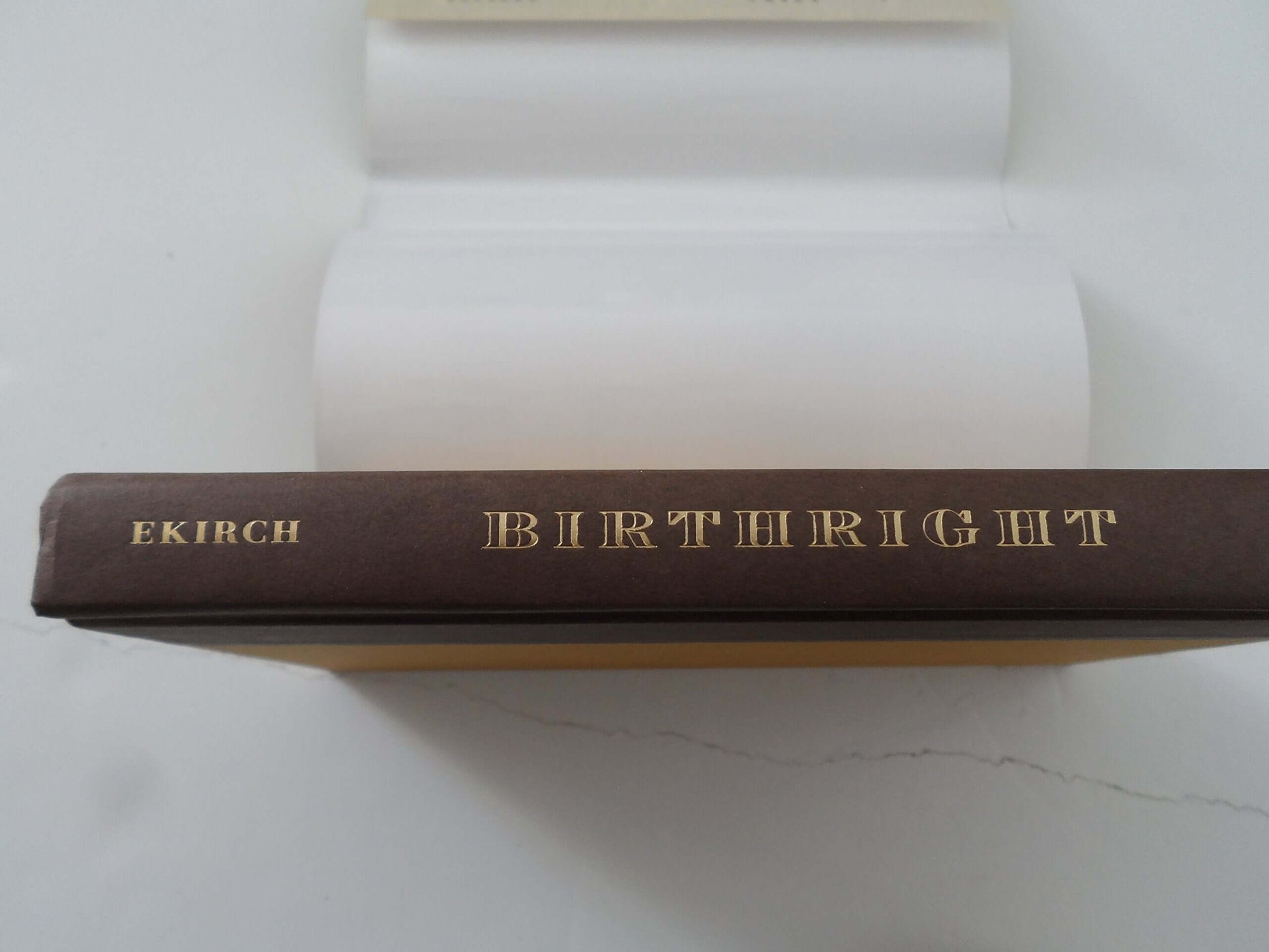 Birthright: The True Story that Inspired used book depot