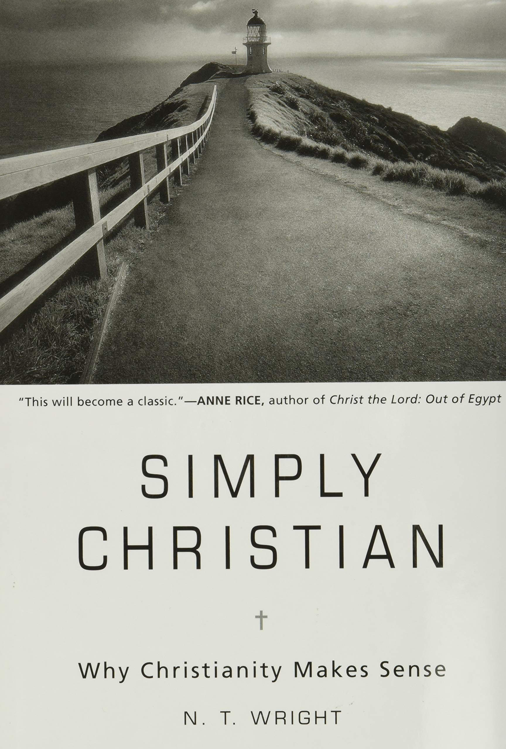 Simply Christian: Why Christianity Makes Sense used book depot