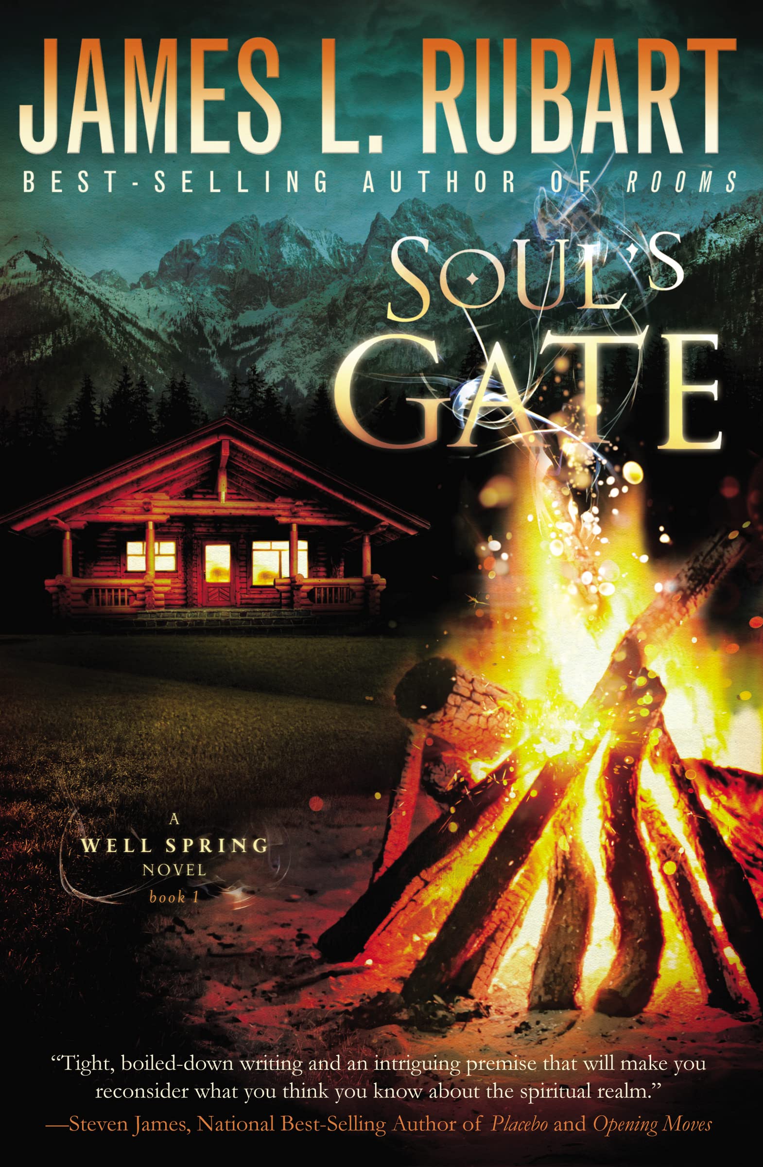 Soul's Gate (A Well Spring Novel) used book depot