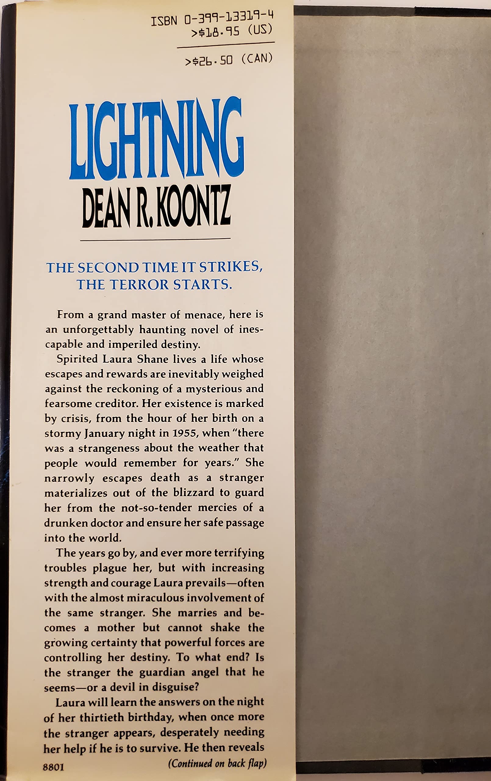Lightning used book depot