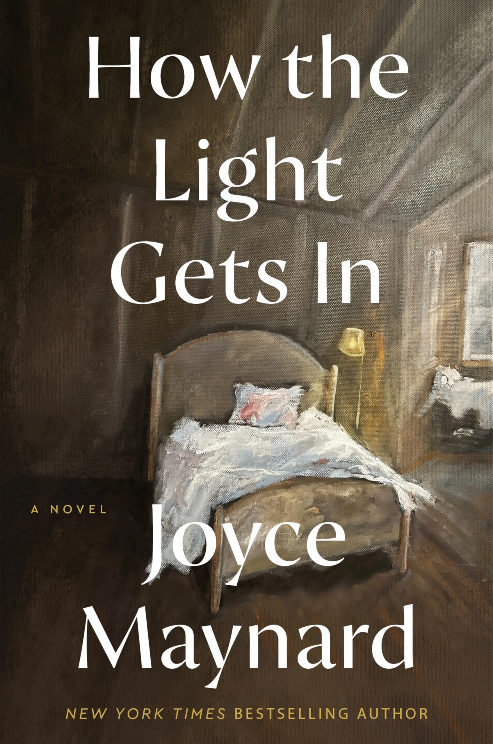 How the Light Gets In: A Novel used book depot