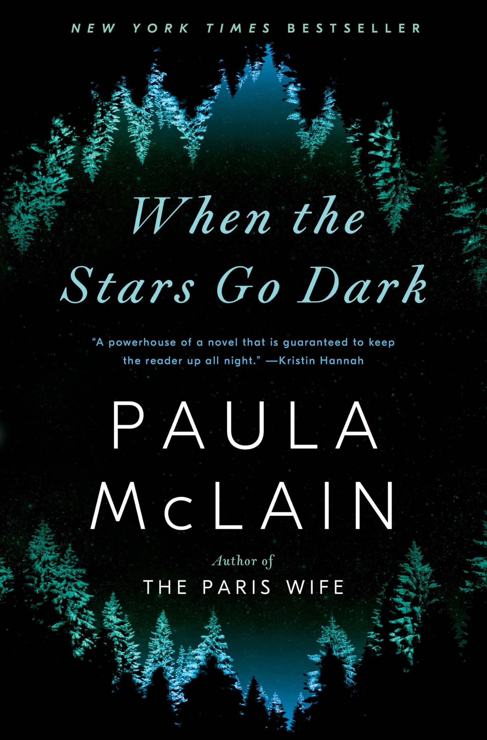 When the Stars Go Dark: A Novel used book depot