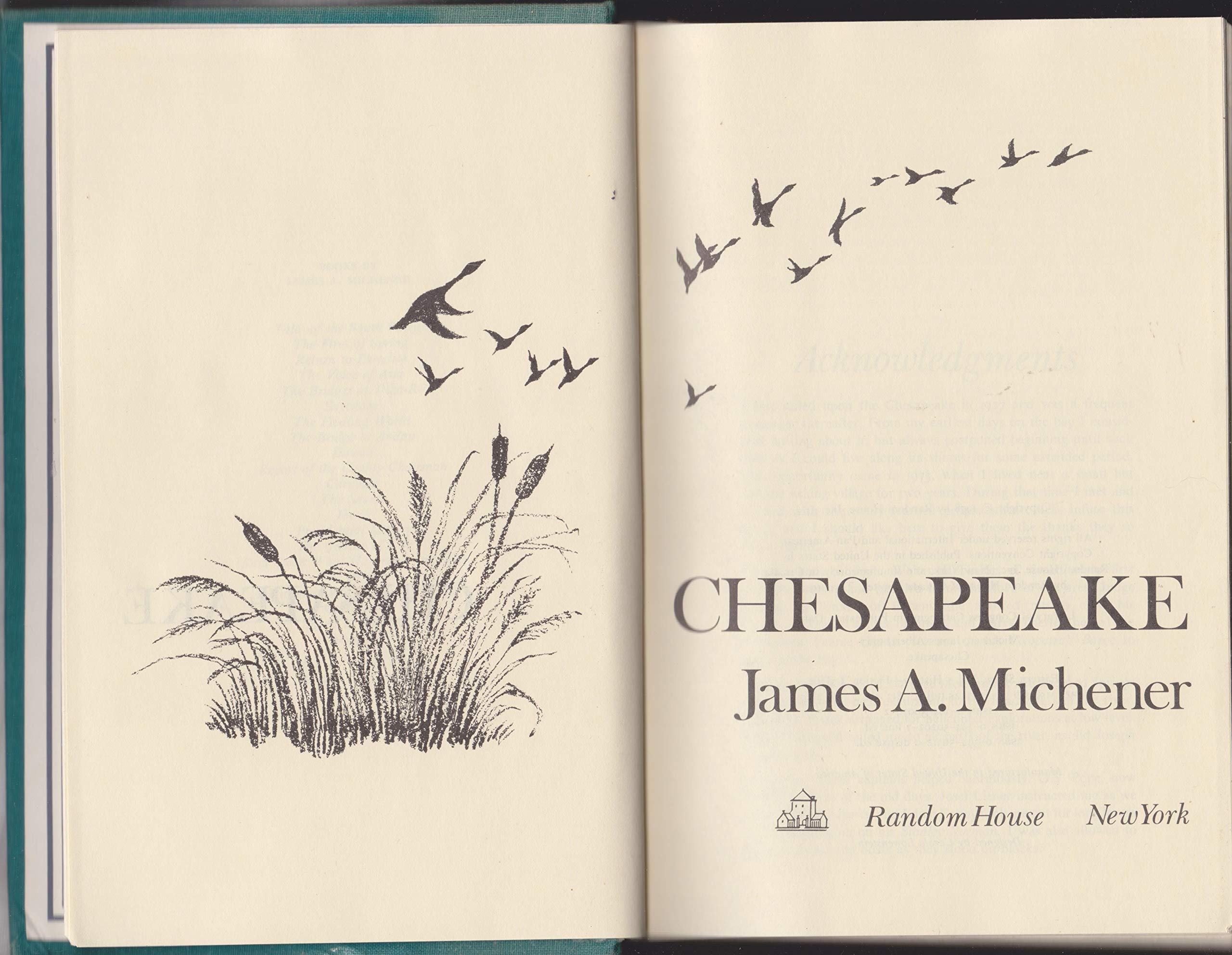 Chesapeake used book depot