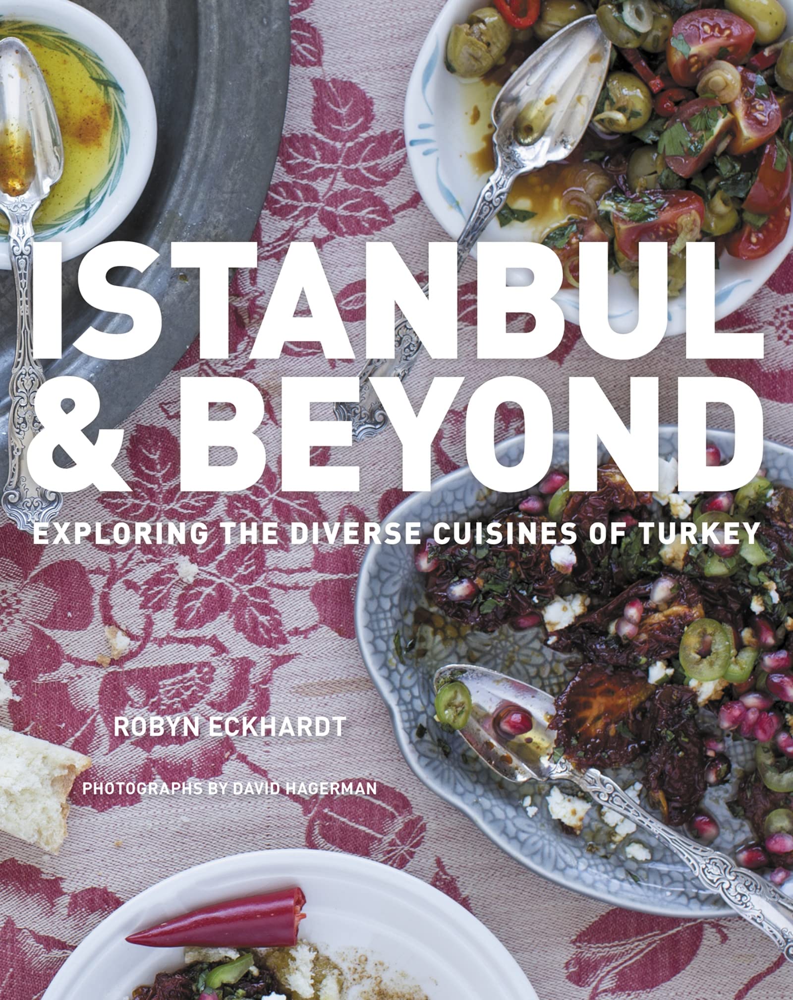 Istanbul And Beyond: Exploring the Diverse Cuisines of Turkey used book depot