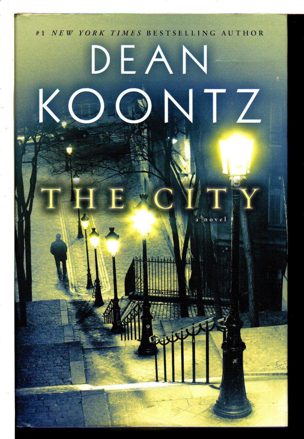 The City: A Novel used book depot